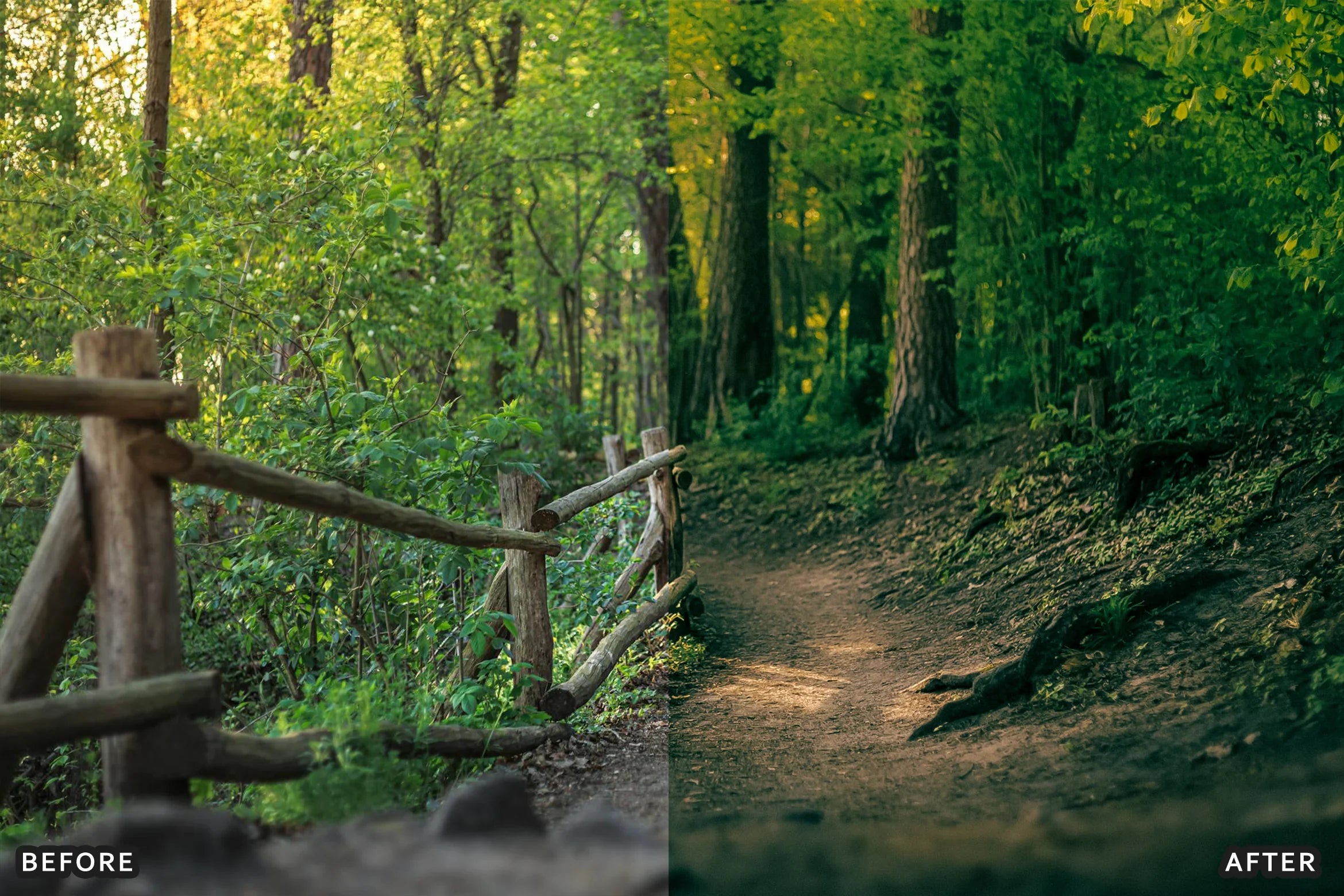 AI-Optimized Foggy Morning Lightroom Presets - Lightroom Presets - by AAA Presets