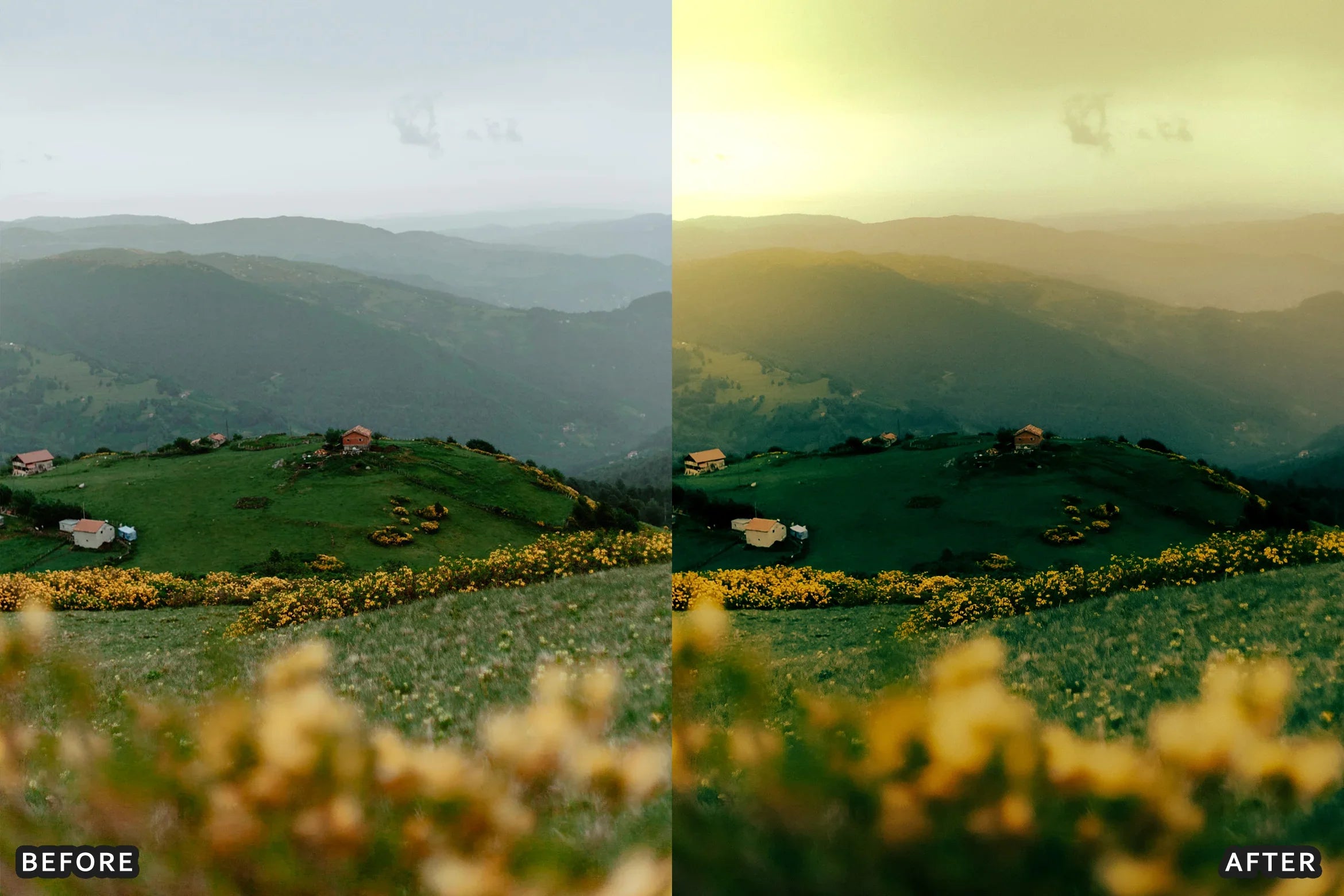 AI-Optimized Foggy Morning Lightroom Presets - Lightroom Presets - by AAA Presets