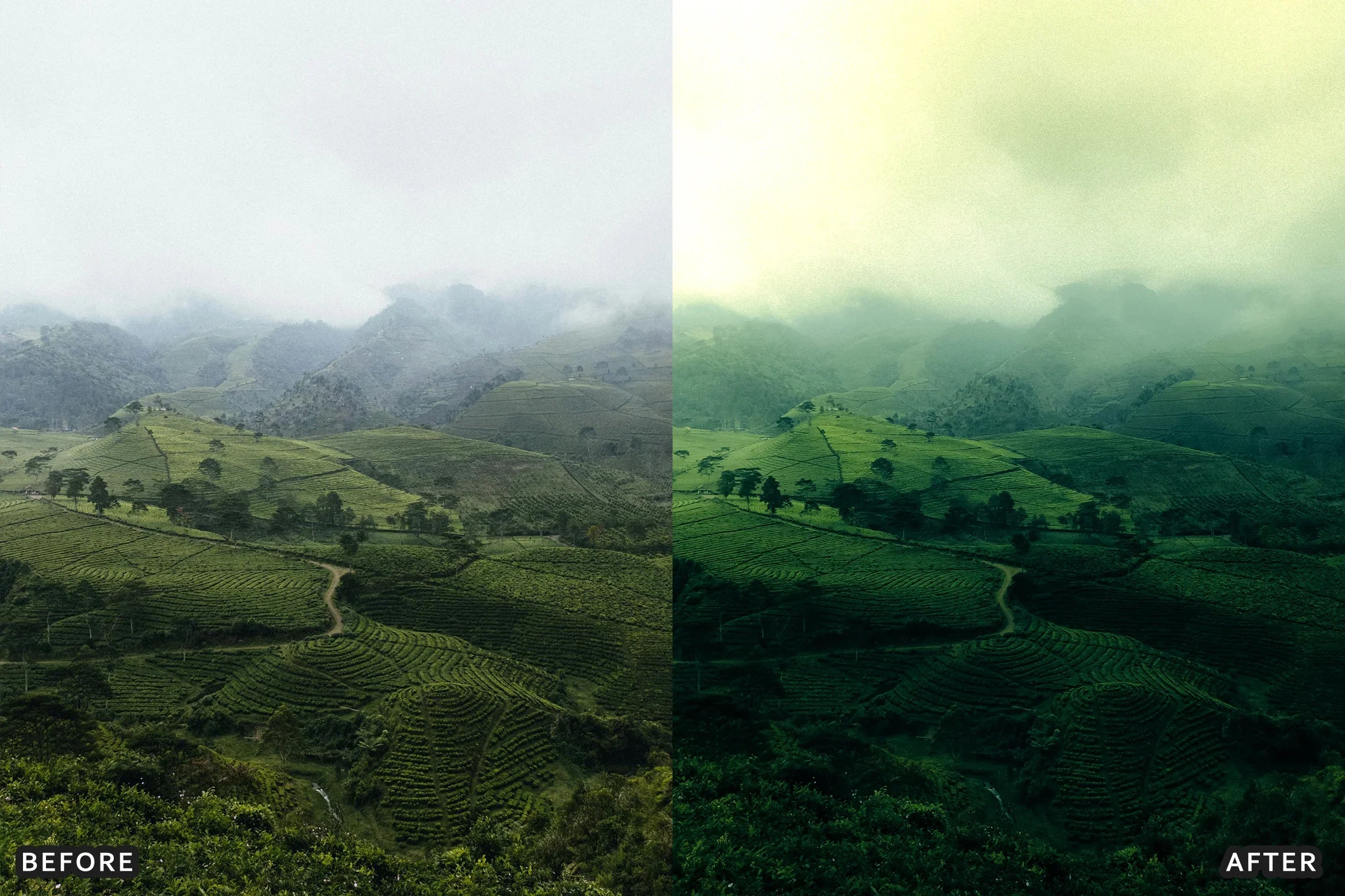 AI-Optimized Foggy Morning Lightroom Presets - Lightroom Presets - by AAA Presets