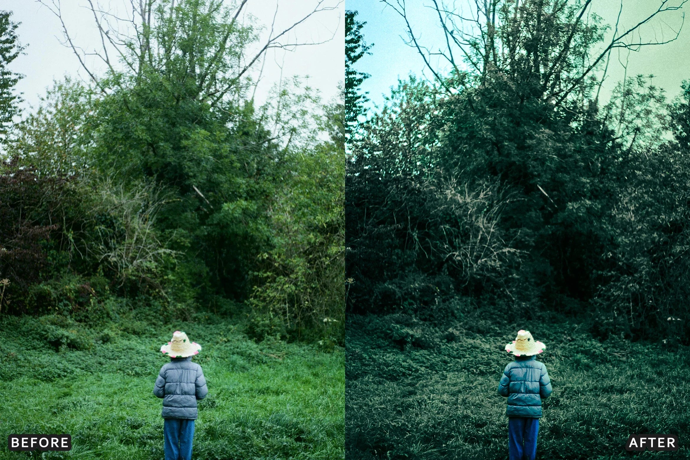 AI-Optimized Fresh Green Haze Lightroom Presets - Lightroom Presets - by AAA Presets