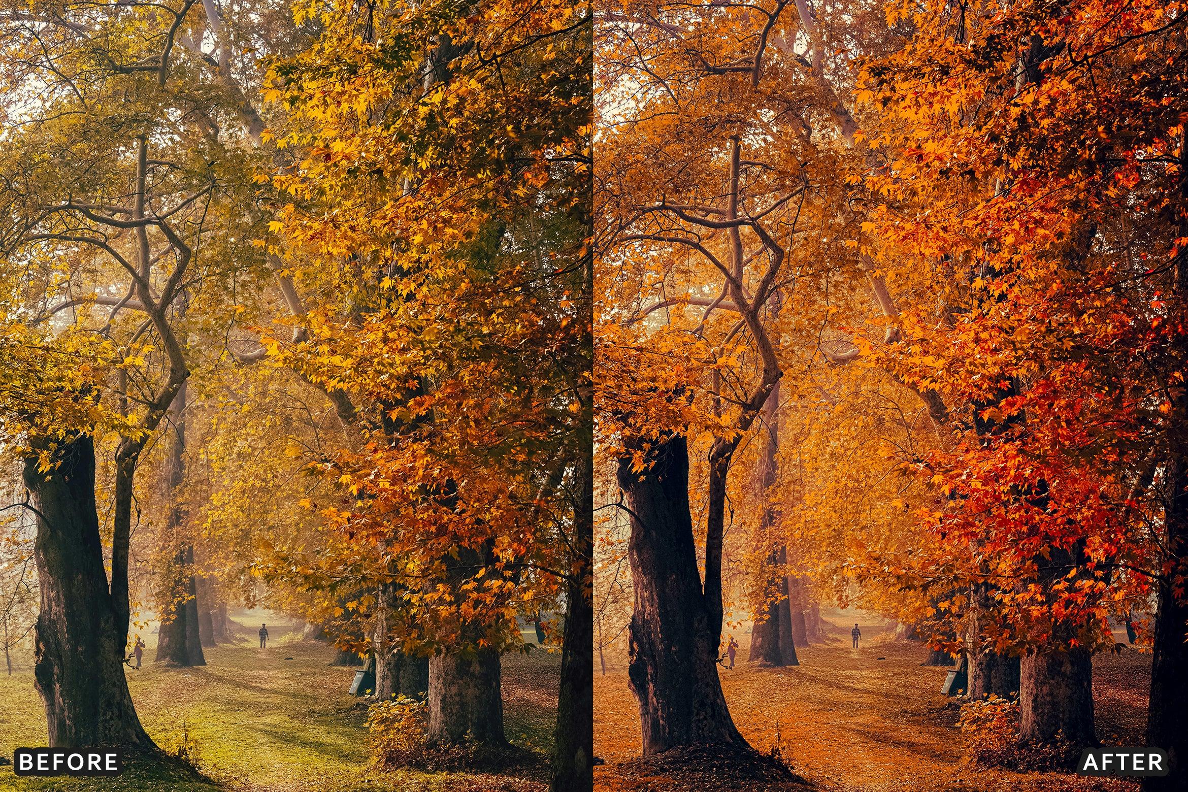 AI-Optimized Golden Fall Forest Lightroom Presets - Lightroom Presets - by AAA Presets