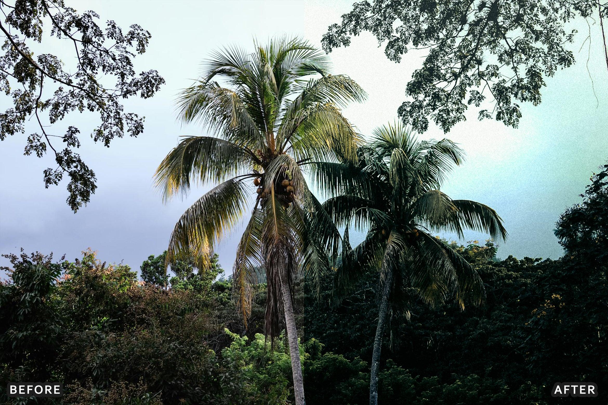 AI-Optimized Green Jungle Morning Cinematic Lightroom Presets