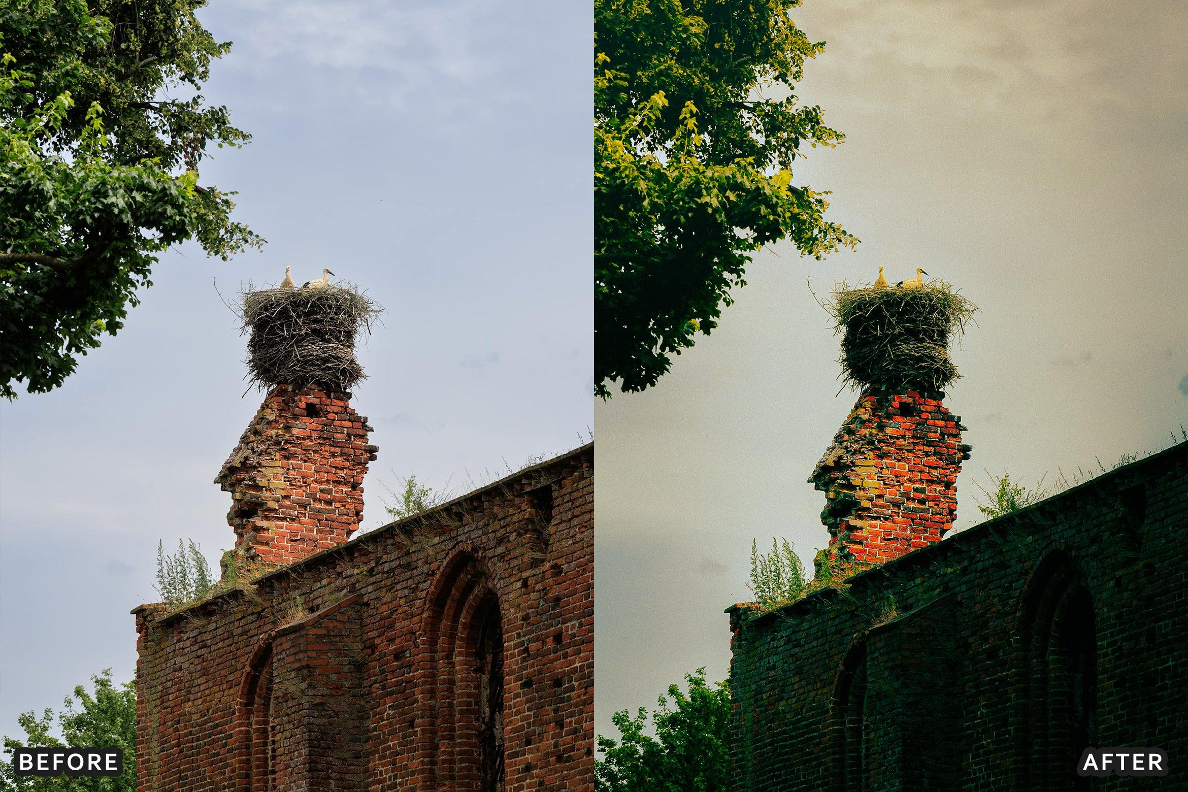 AI-Optimized Historic Travel Look Lightroom Presets - Lightroom Presets - by AAA Presets
