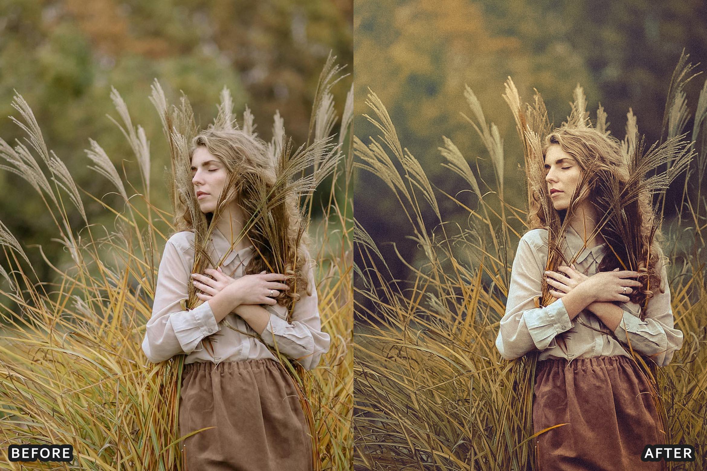 AI-Optimized Hollywood Tones Lightroom Presets - Lightroom Presets - by AAA Presets