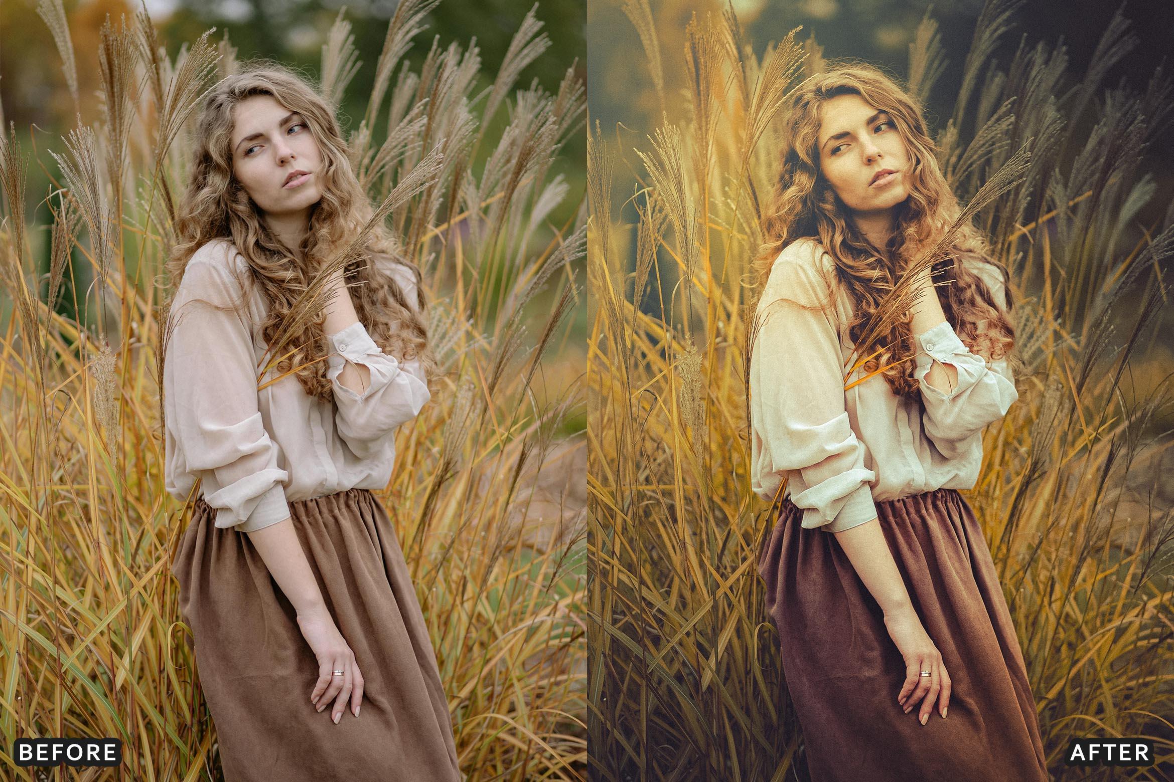 AI-Optimized Hollywood Tones Lightroom Presets - Lightroom Presets - by AAA Presets