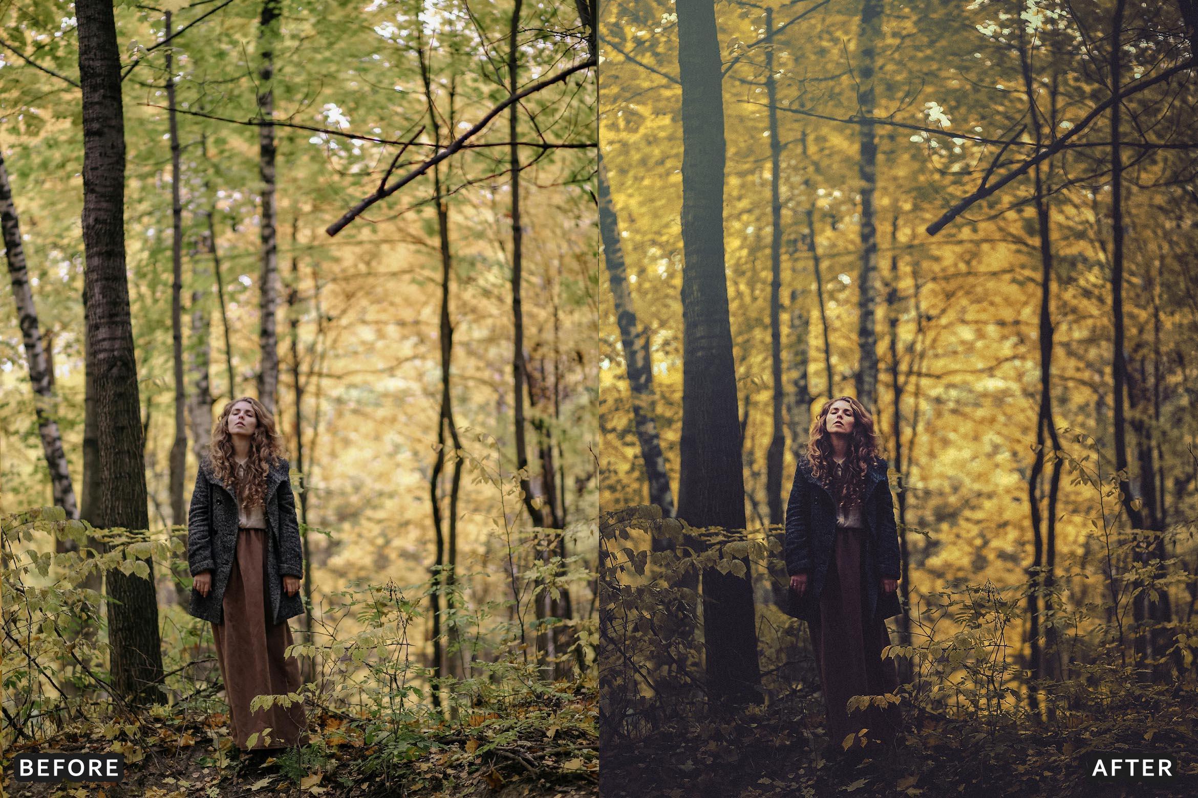 AI-Optimized Hollywood Tones Lightroom Presets - Lightroom Presets - by AAA Presets