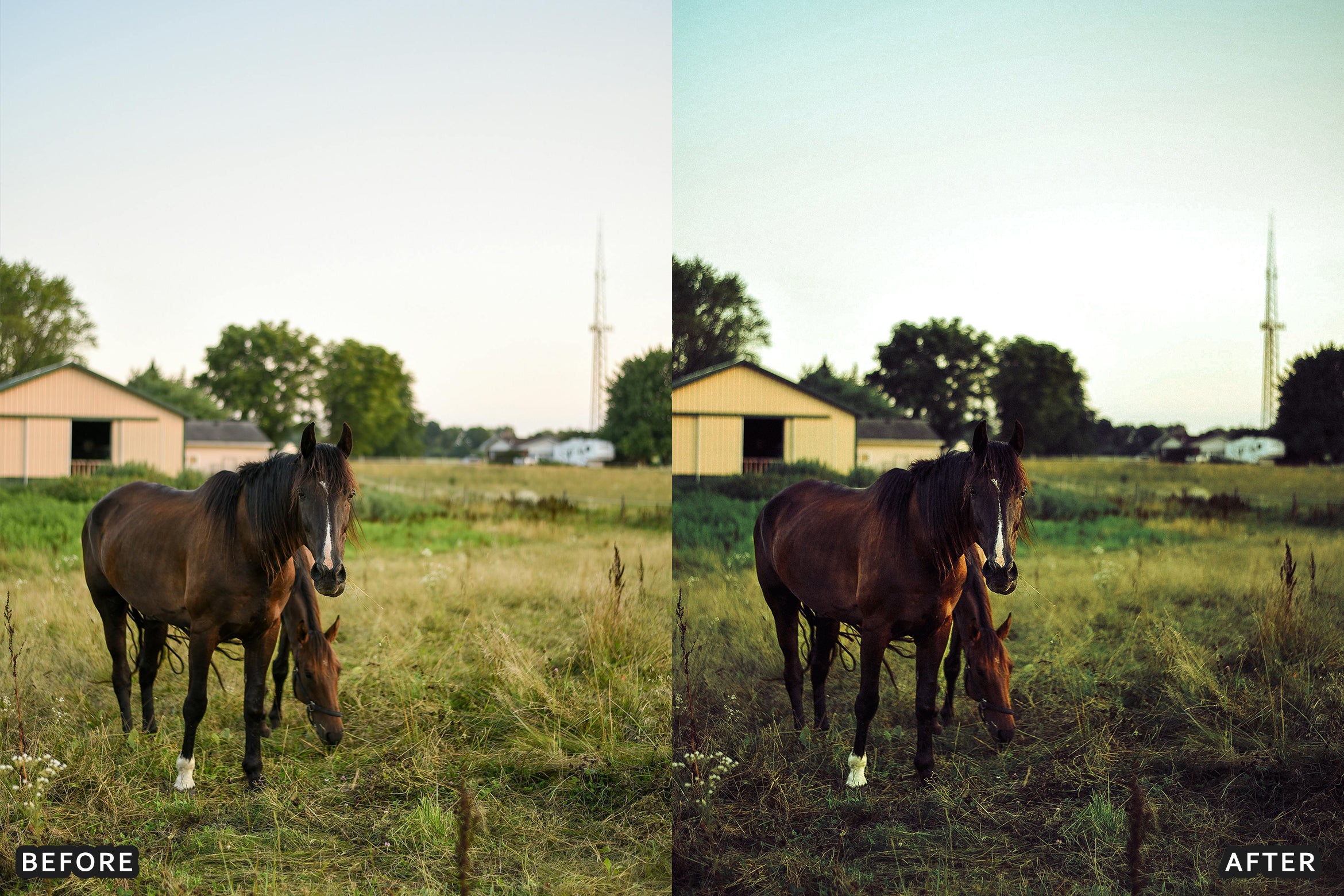 AI-Optimized Horse Ranch Lightroom Presets - Lightroom Presets - by AAA Presets