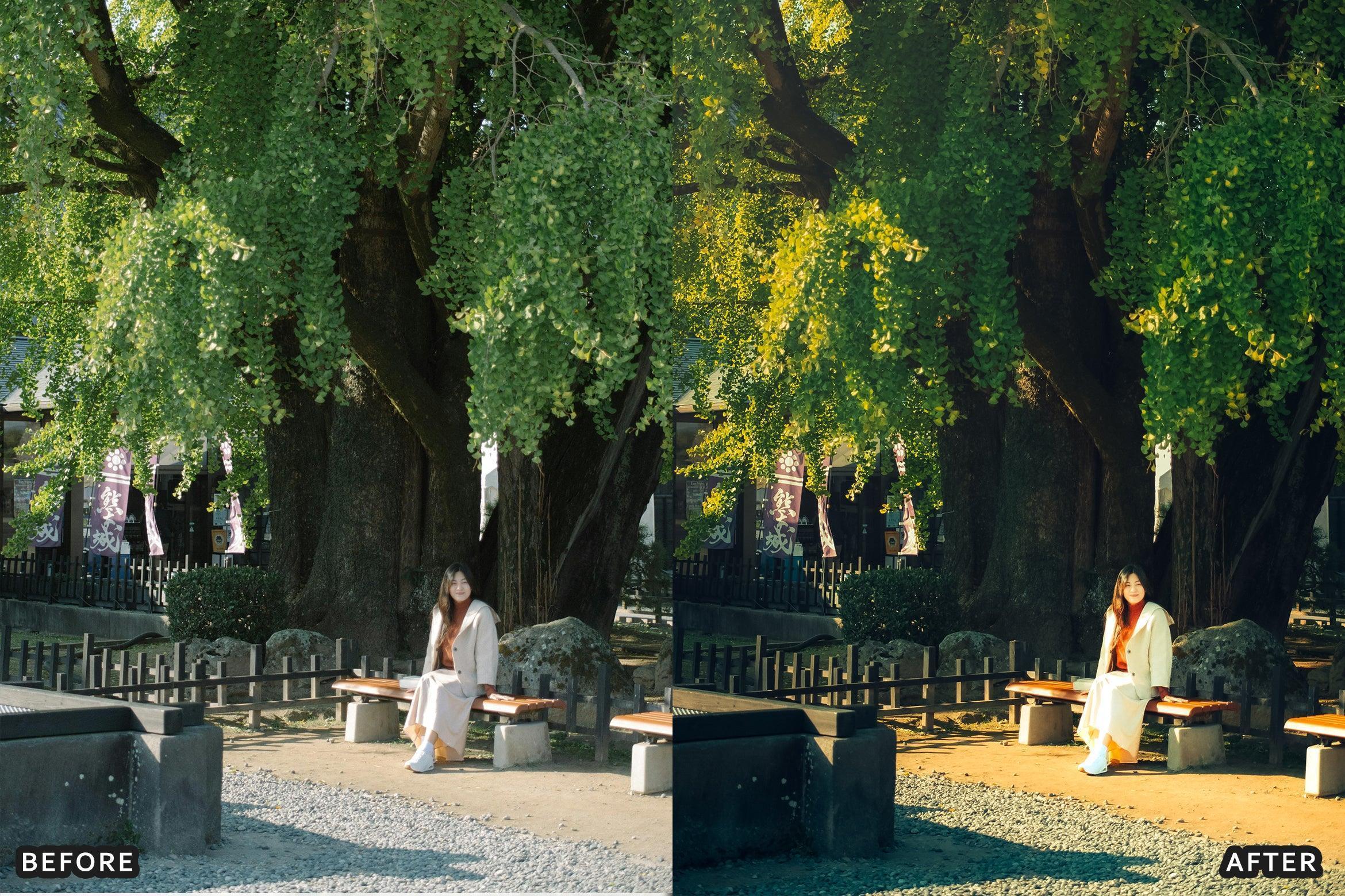 AI-Optimized Japan Anime Lightroom Presets - Lightroom Presets - by AAA Presets