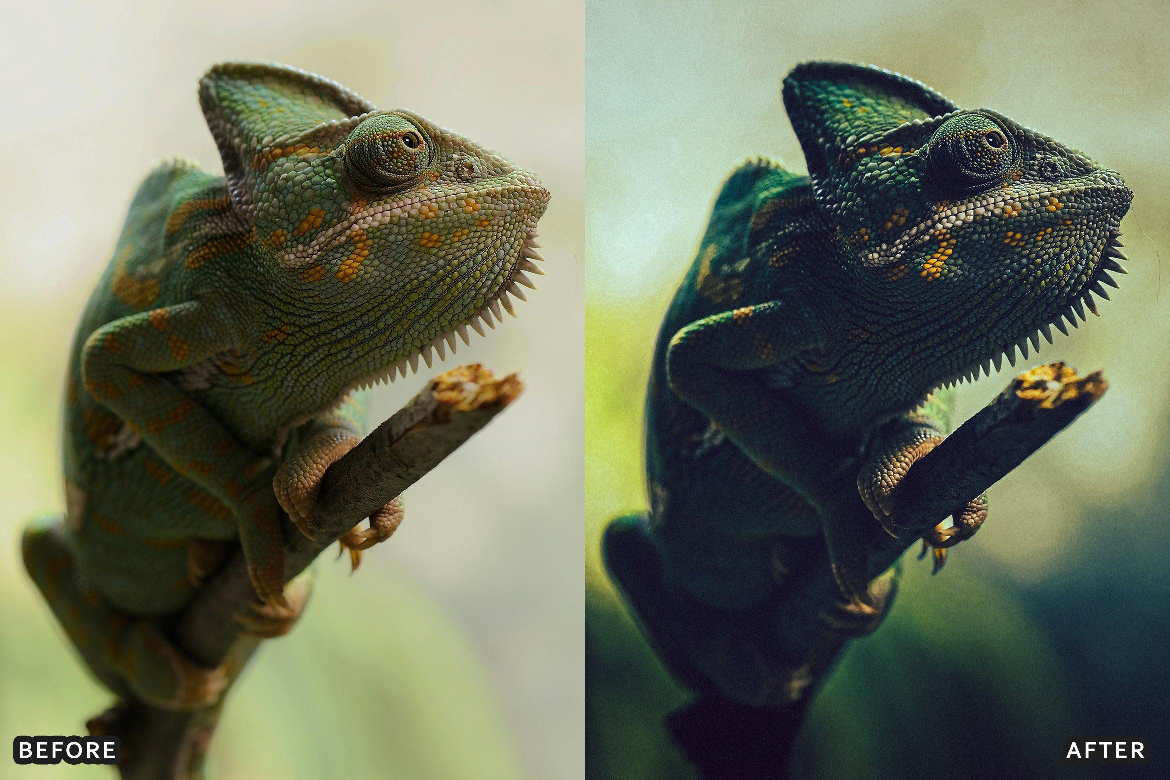 AI-Optimized Macro Photography Lightroom Presets - Lightroom Presets - by AAA Presets