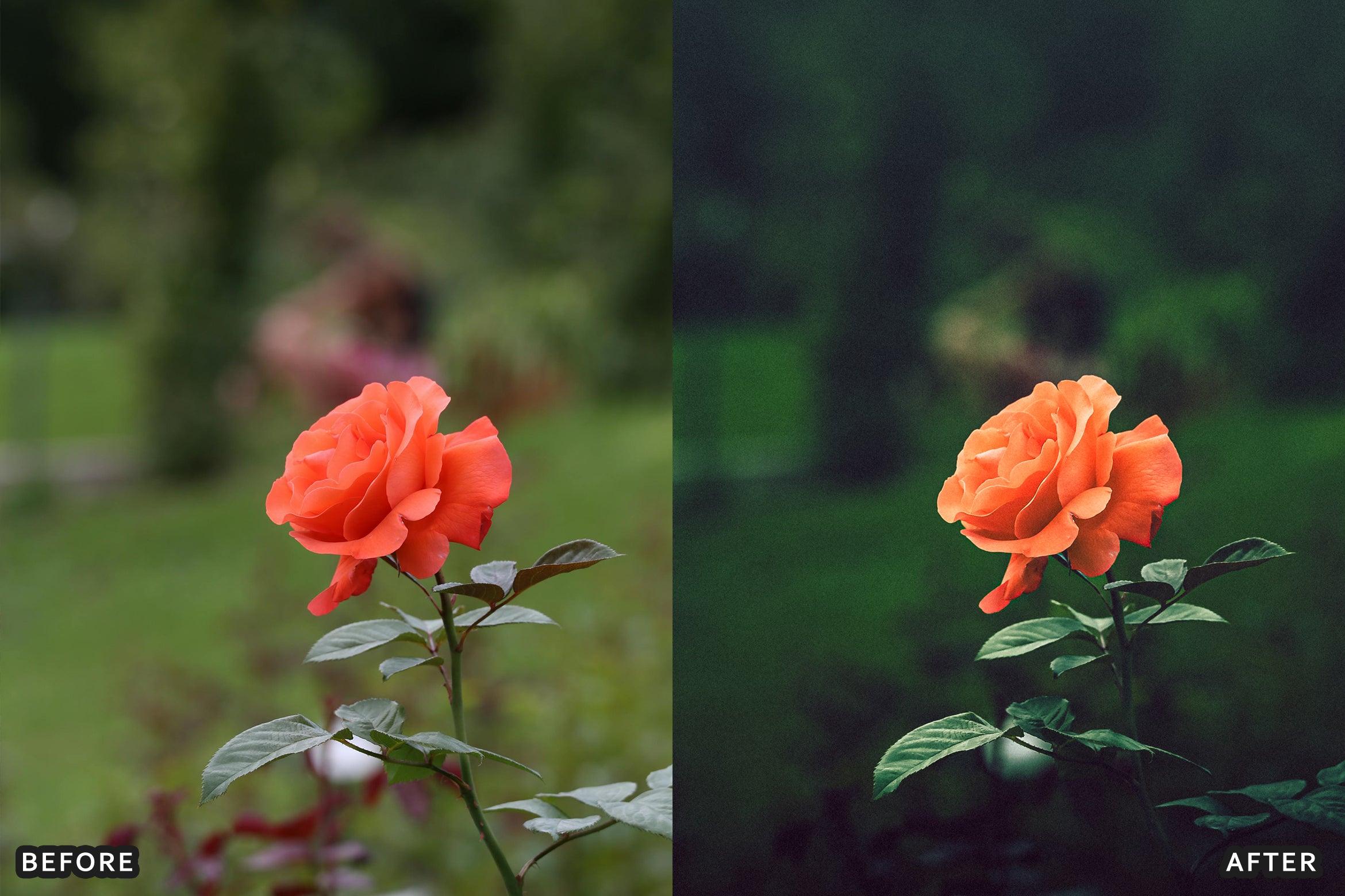 AI-Optimized Macro Photography Lightroom Presets - Lightroom Presets - by AAA Presets