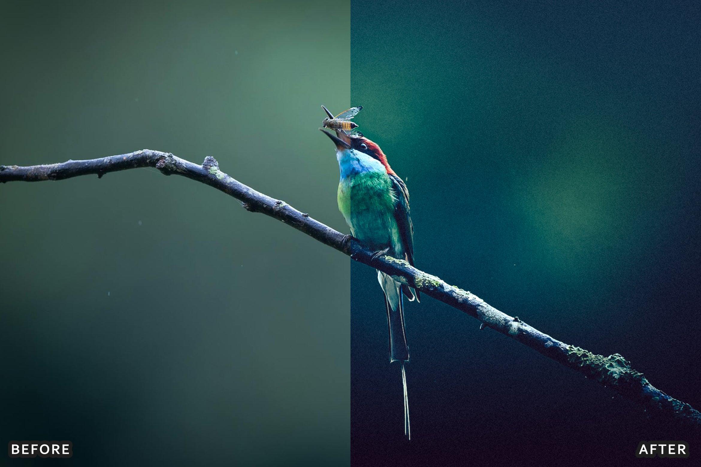 AI-Optimized Macro Photography Lightroom Presets - Lightroom Presets - by AAA Presets