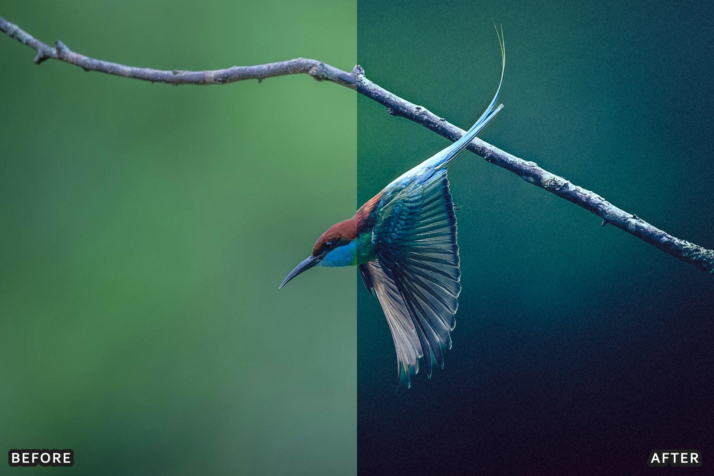 AI-Optimized Macro Photography Lightroom Presets - Lightroom Presets - by AAA Presets