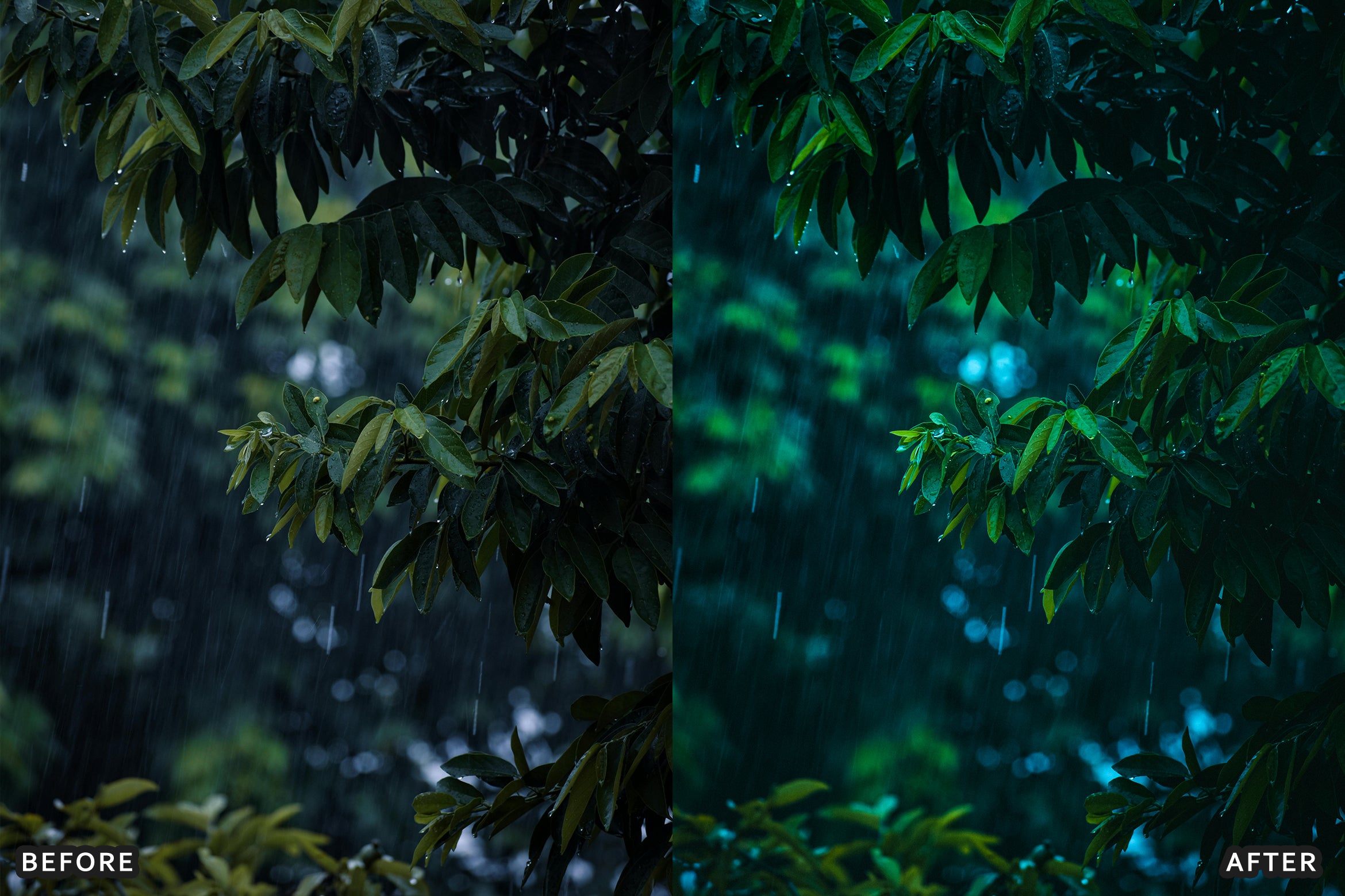 AI-Optimized Moody Rainy Day Lightroom Presets - Lightroom Presets - by AAA Presets