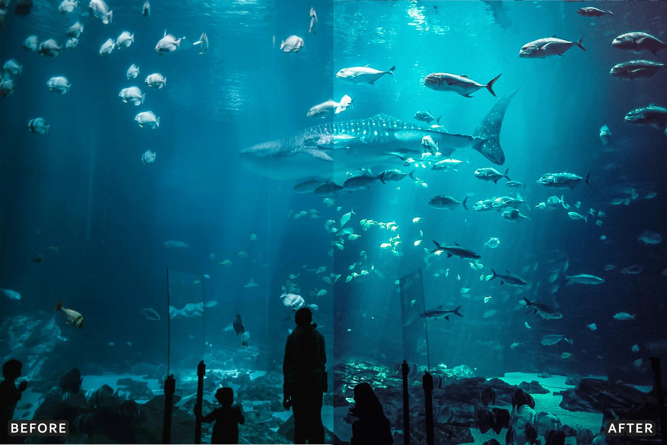 AI-Optimized Moody Underwater Lightroom Presets - Lightroom Presets - by AAA Presets