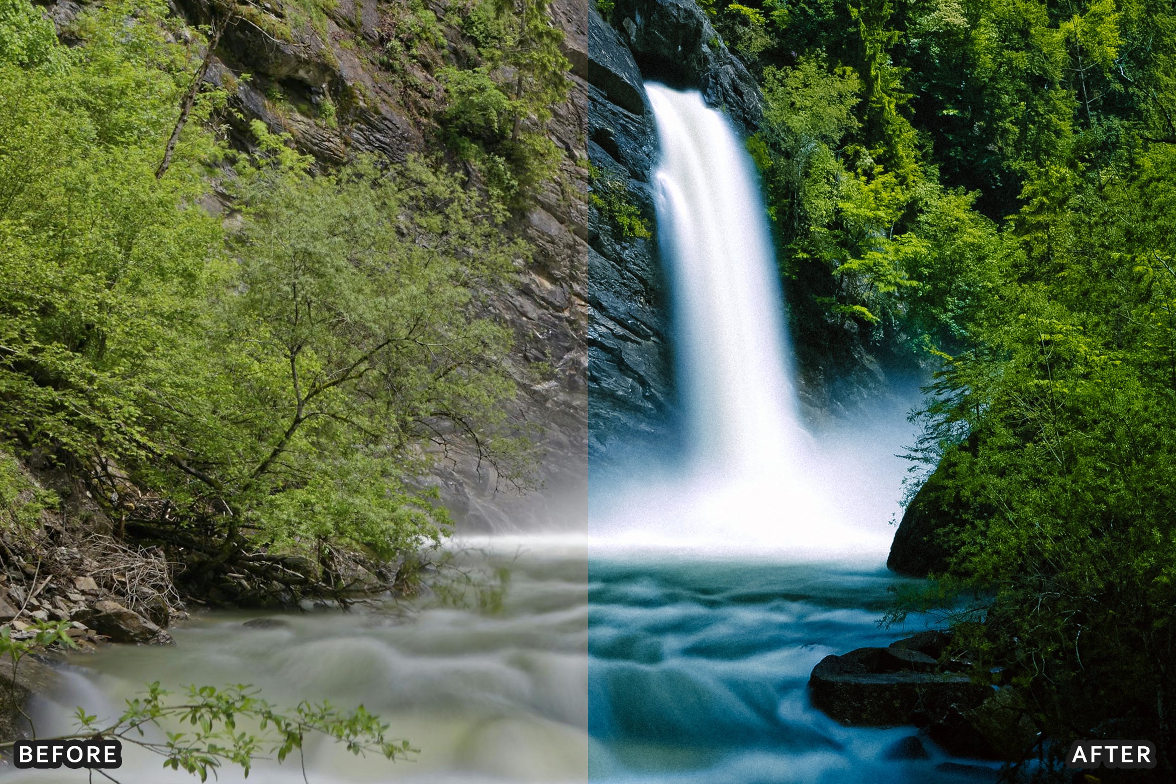 AI-Optimized Nature Forest Lightroom Presets - Lightroom Presets - by AAA Presets