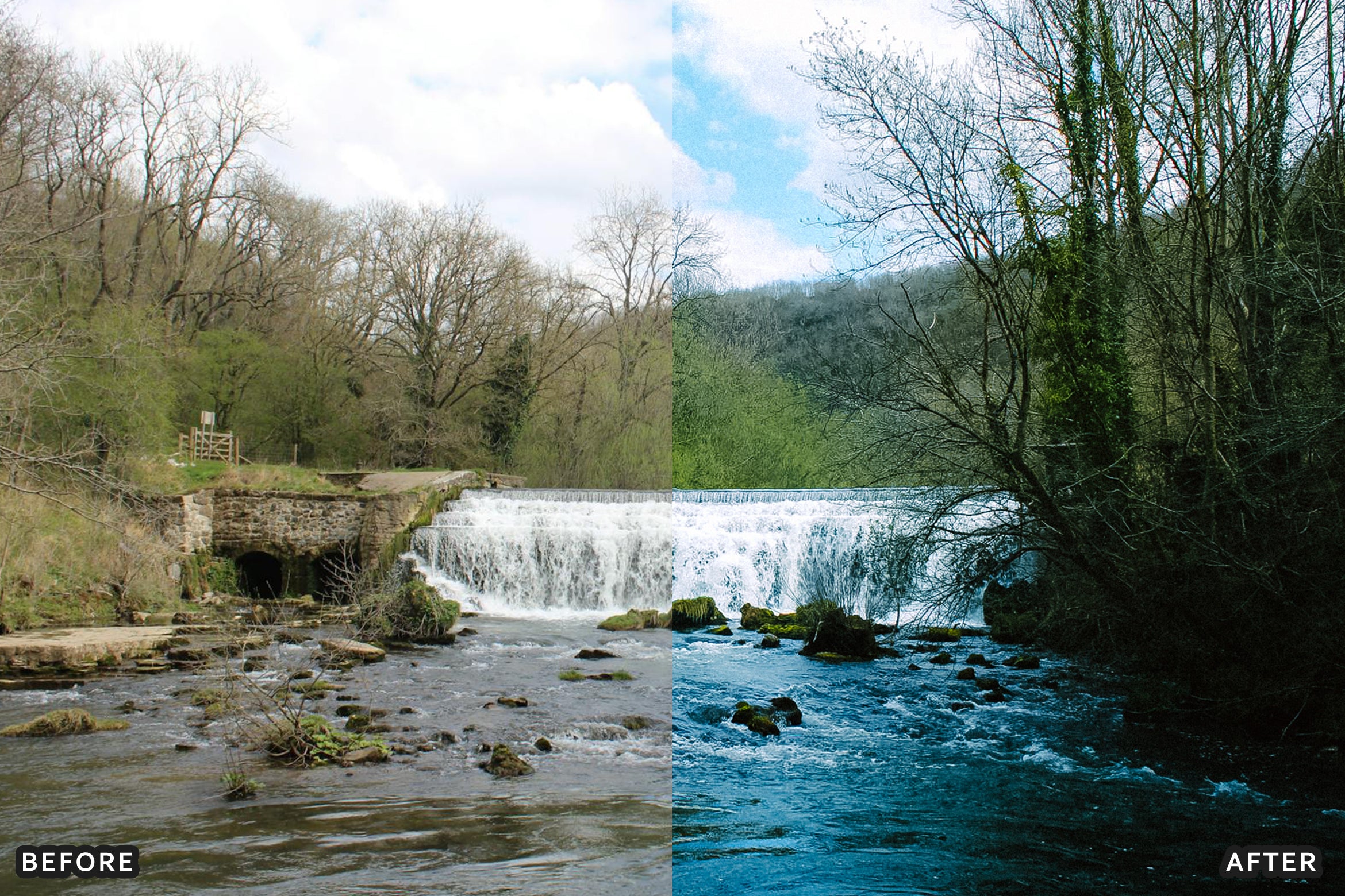 AI-Optimized Nature Forest Lightroom Presets - Lightroom Presets - by AAA Presets