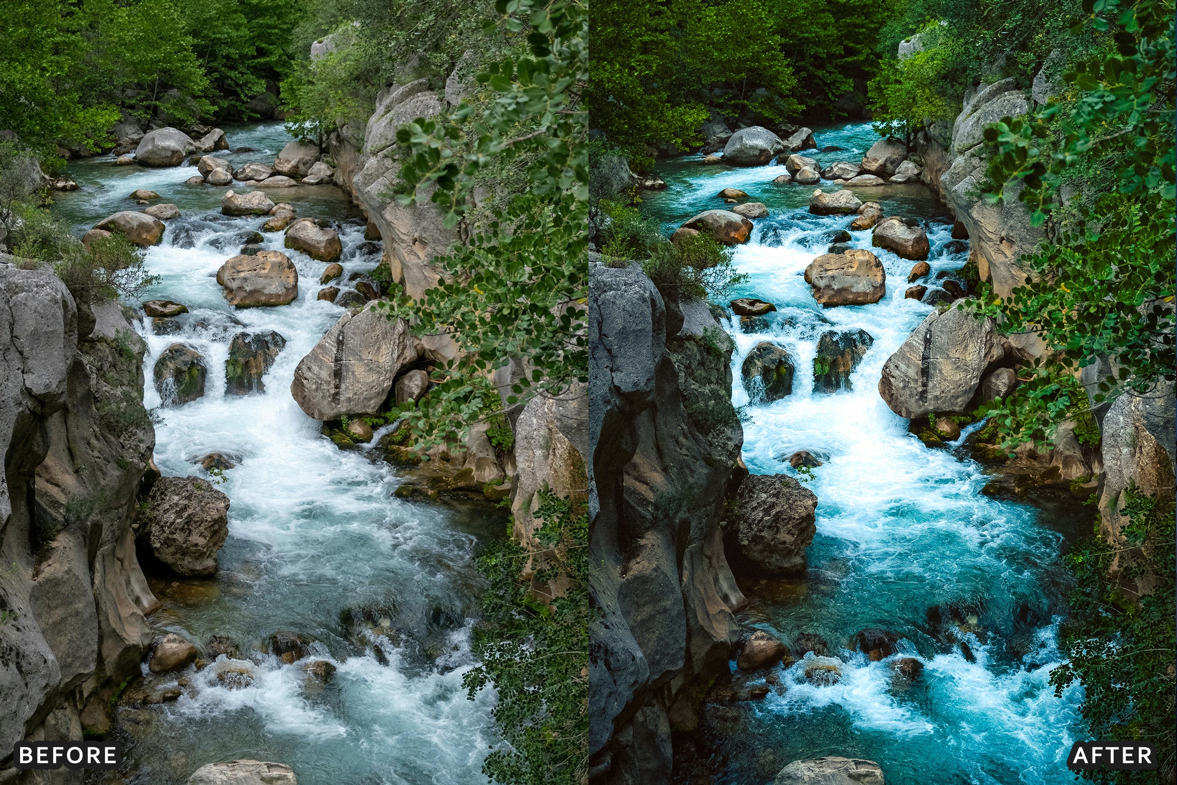 AI-Optimized Nature Forest Lightroom Presets - Lightroom Presets - by AAA Presets