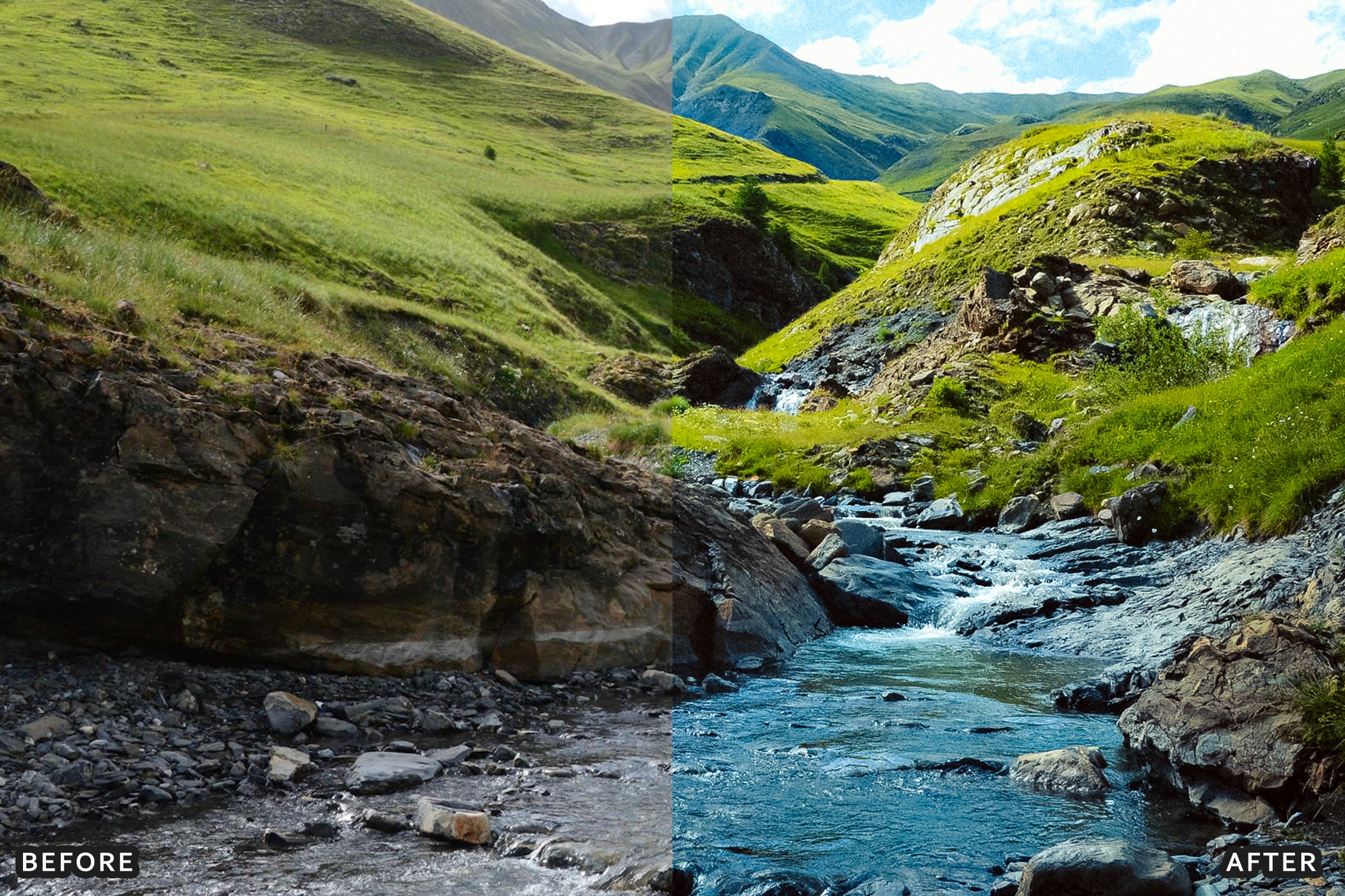 AI-Optimized Nature Forest Lightroom Presets - Lightroom Presets - by AAA Presets