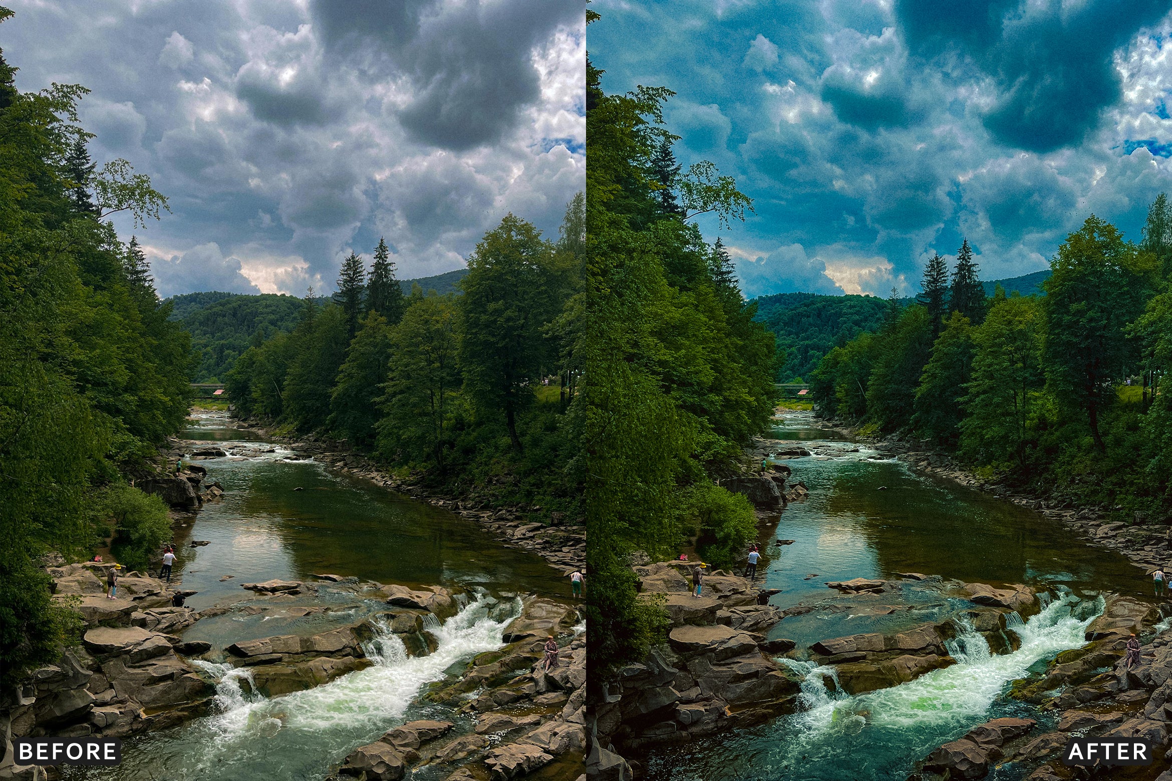 AI-Optimized Nature Forest Lightroom Presets - Lightroom Presets - by AAA Presets