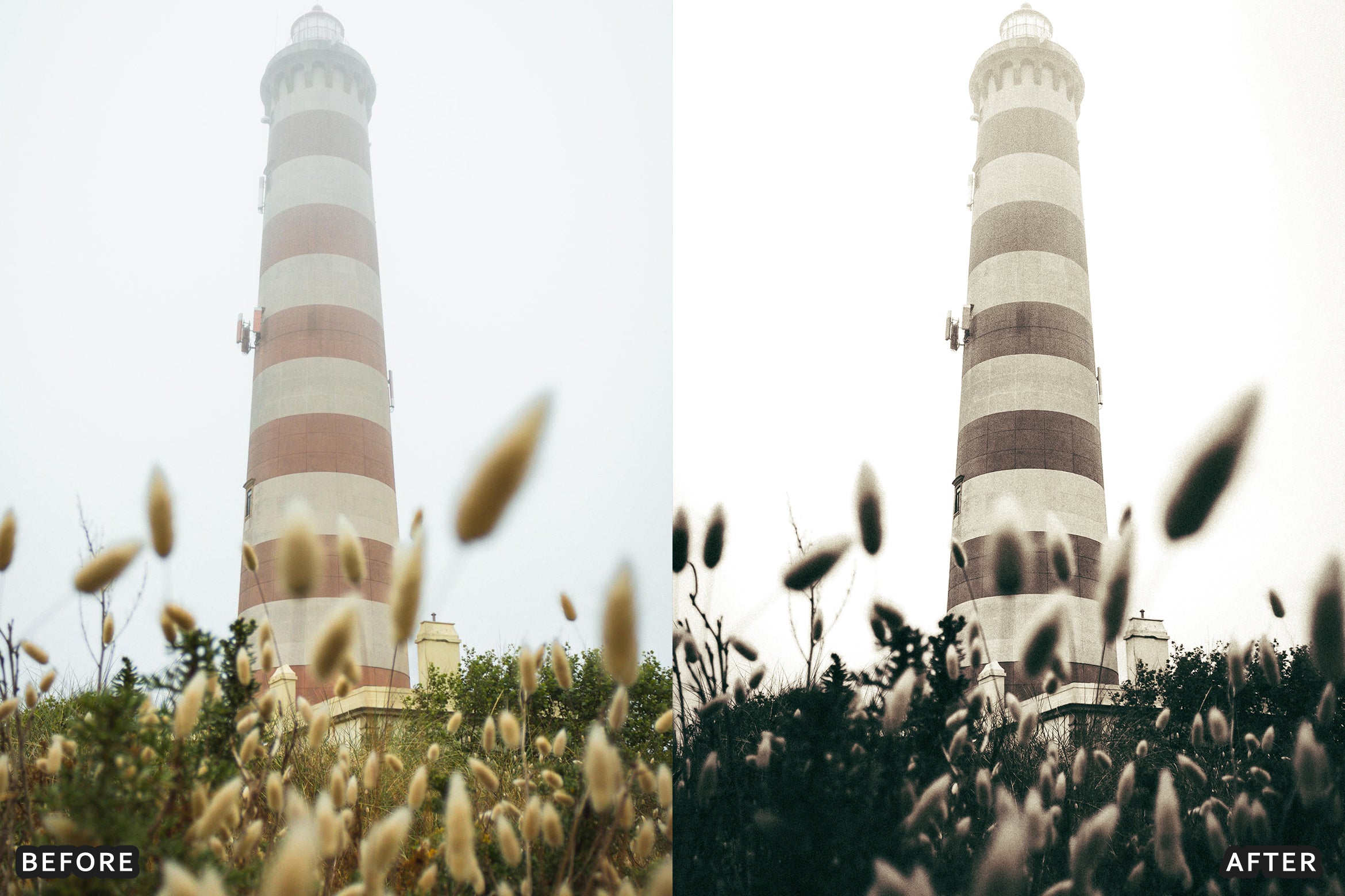 AI-Optimized Rich Black and White Lightroom Presets - Lightroom Presets - by AAA Presets