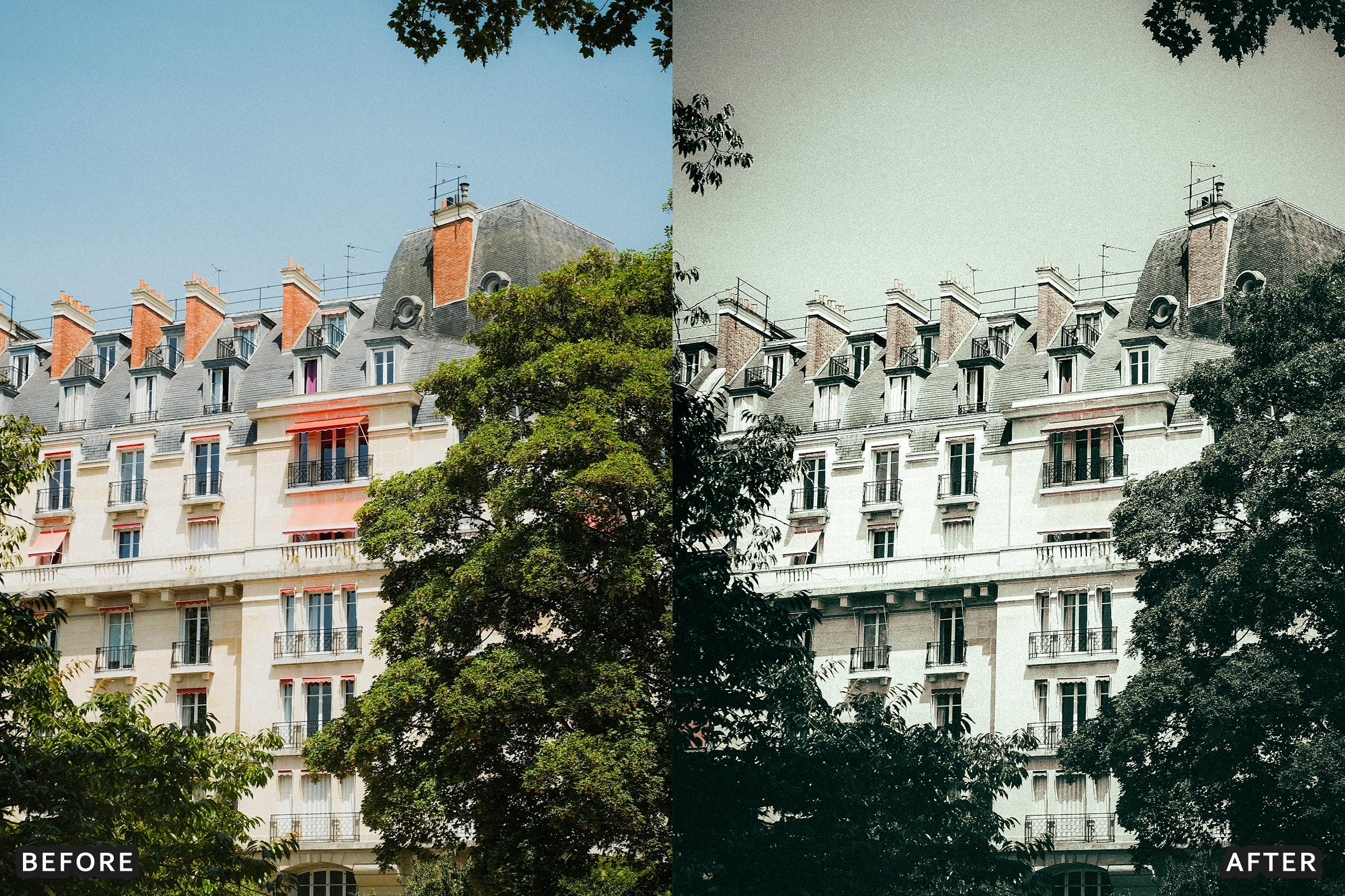 AI-Optimized Rich Black and White Lightroom Presets - Lightroom Presets - by AAA Presets