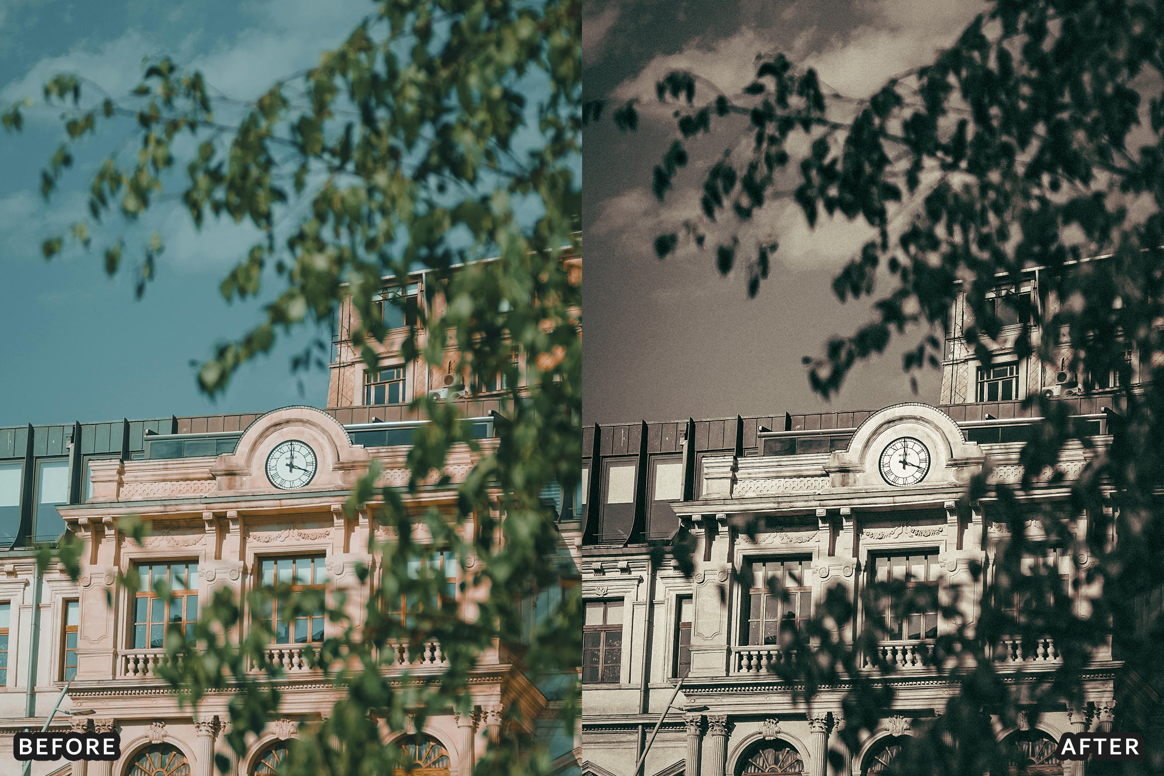 AI-Optimized Rich Black and White Lightroom Presets - Lightroom Presets - by AAA Presets