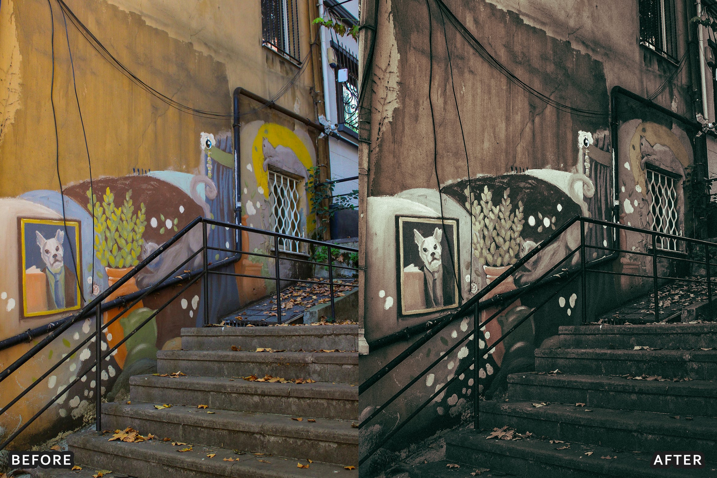 AI-Optimized Rich Black and White Lightroom Presets - Lightroom Presets - by AAA Presets