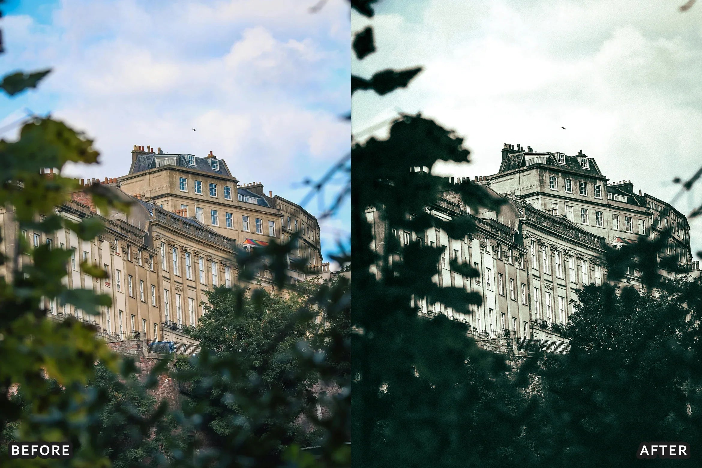 AI-Optimized Rich Black and White Lightroom Presets - Lightroom Presets - by AAA Presets