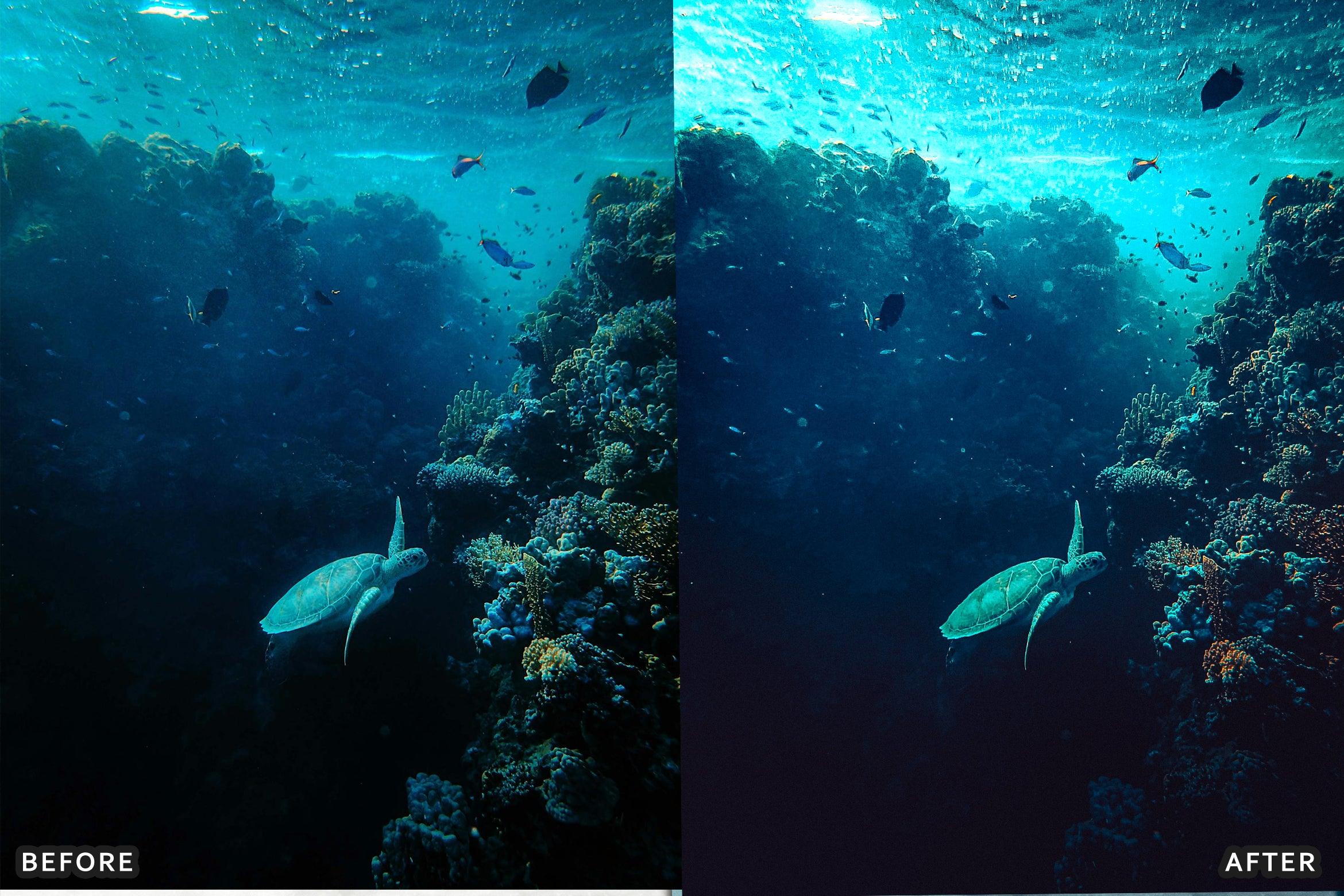 AI-Optimized Underwater Photography Lightroom Presets - Lightroom Presets - by AAA Presets