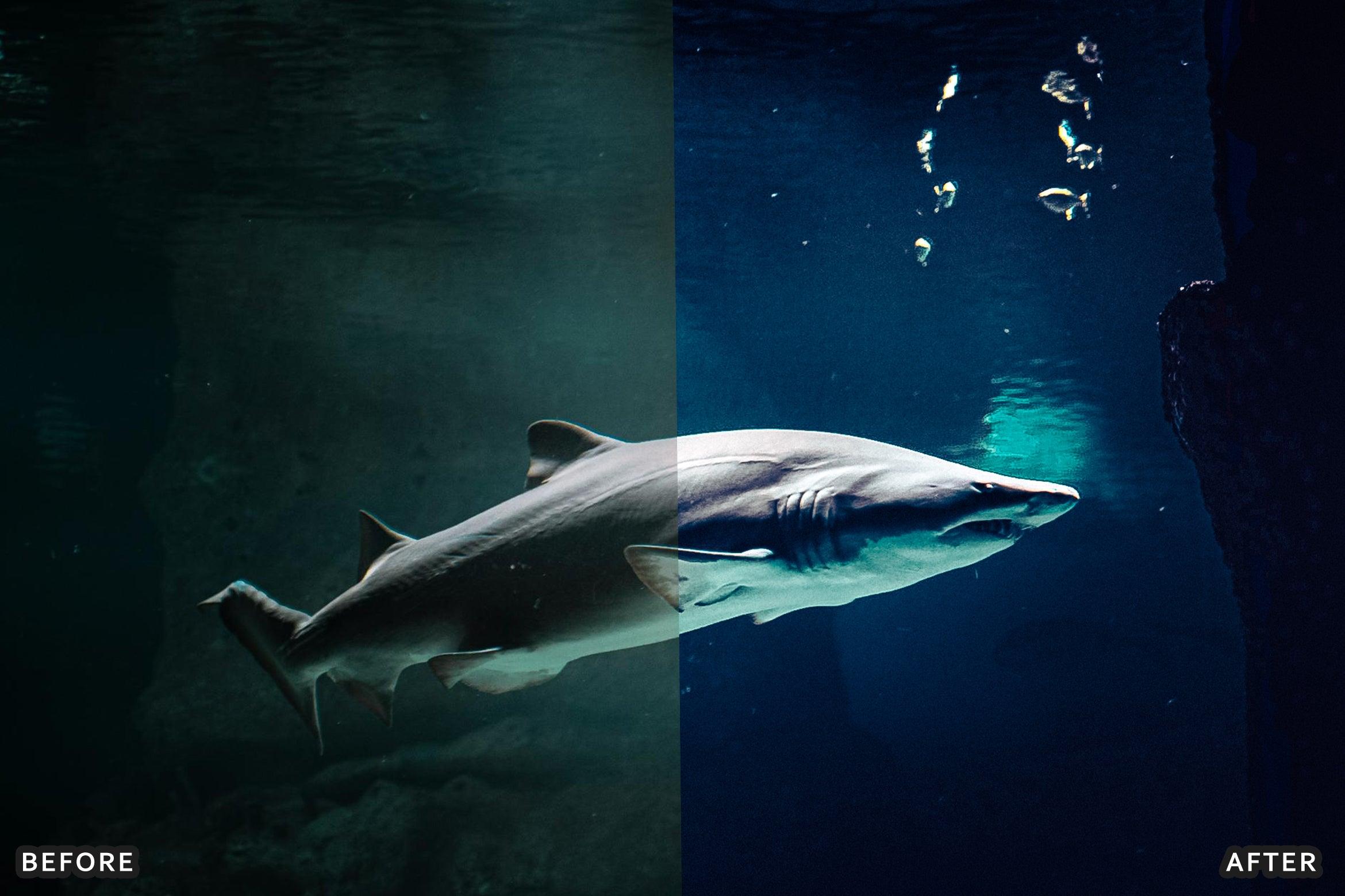 AI-Optimized Underwater Photography Lightroom Presets - Lightroom Presets - by AAA Presets