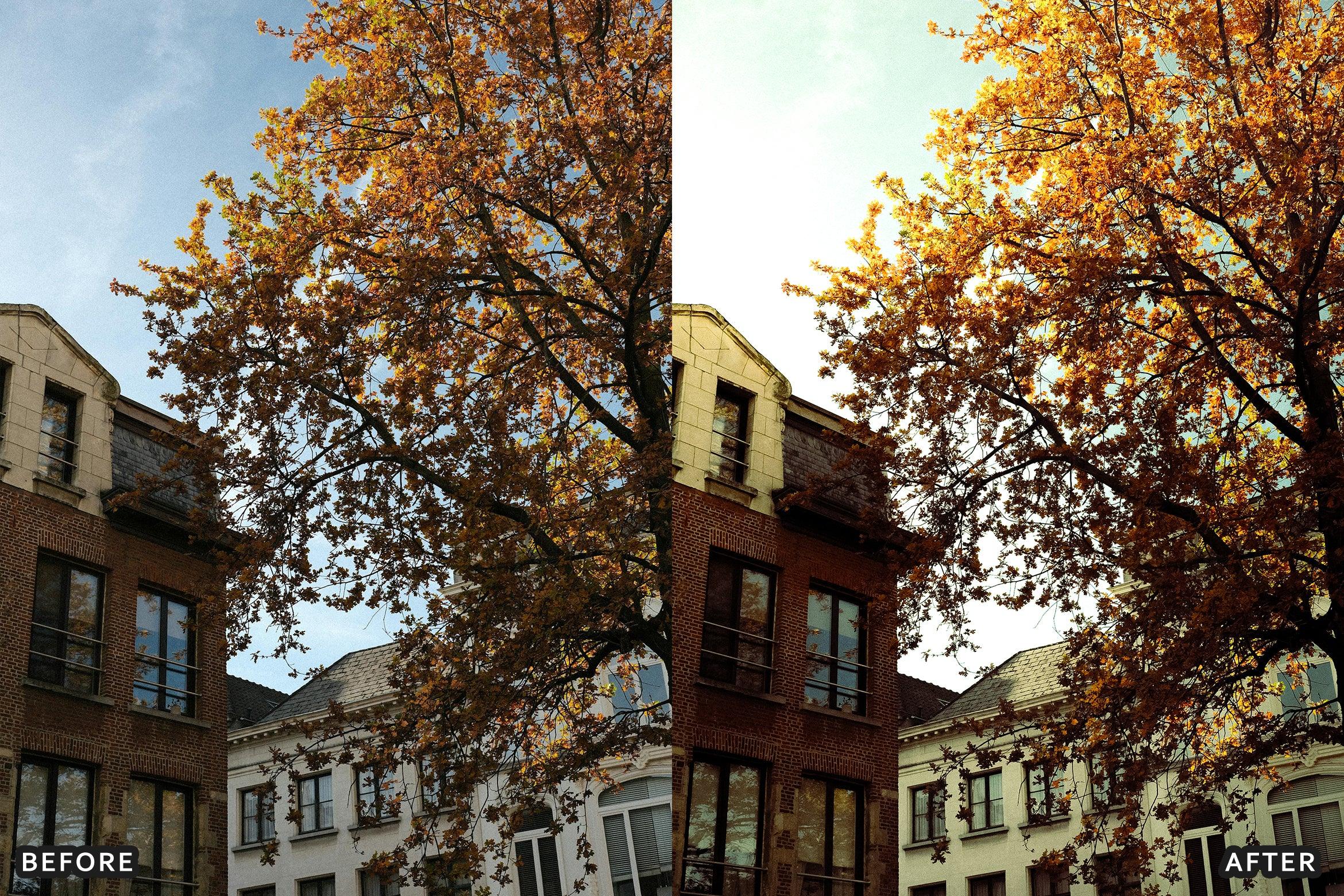 AI-Optimized Vintage Memory Tones Lightroom Presets