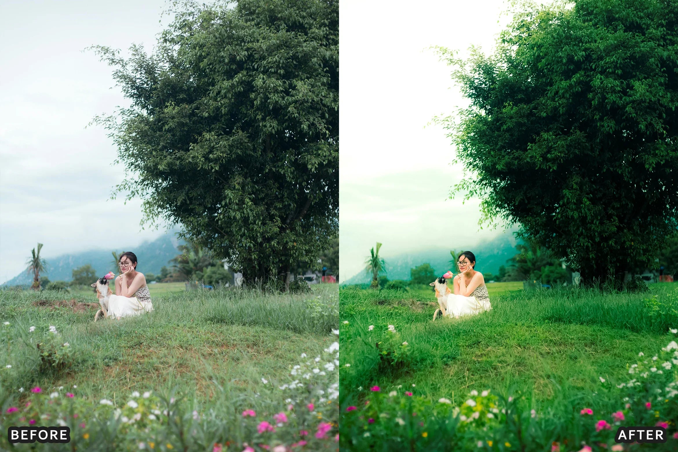 AI-Optimized Vintage Memory Tones Lightroom Presets