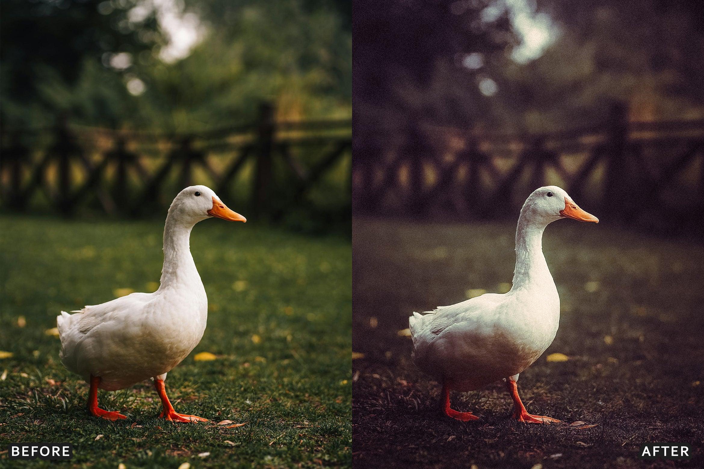 AI-Optimized Vintage Vibes Lightroom Presets - Lightroom Presets - by AAA Presets