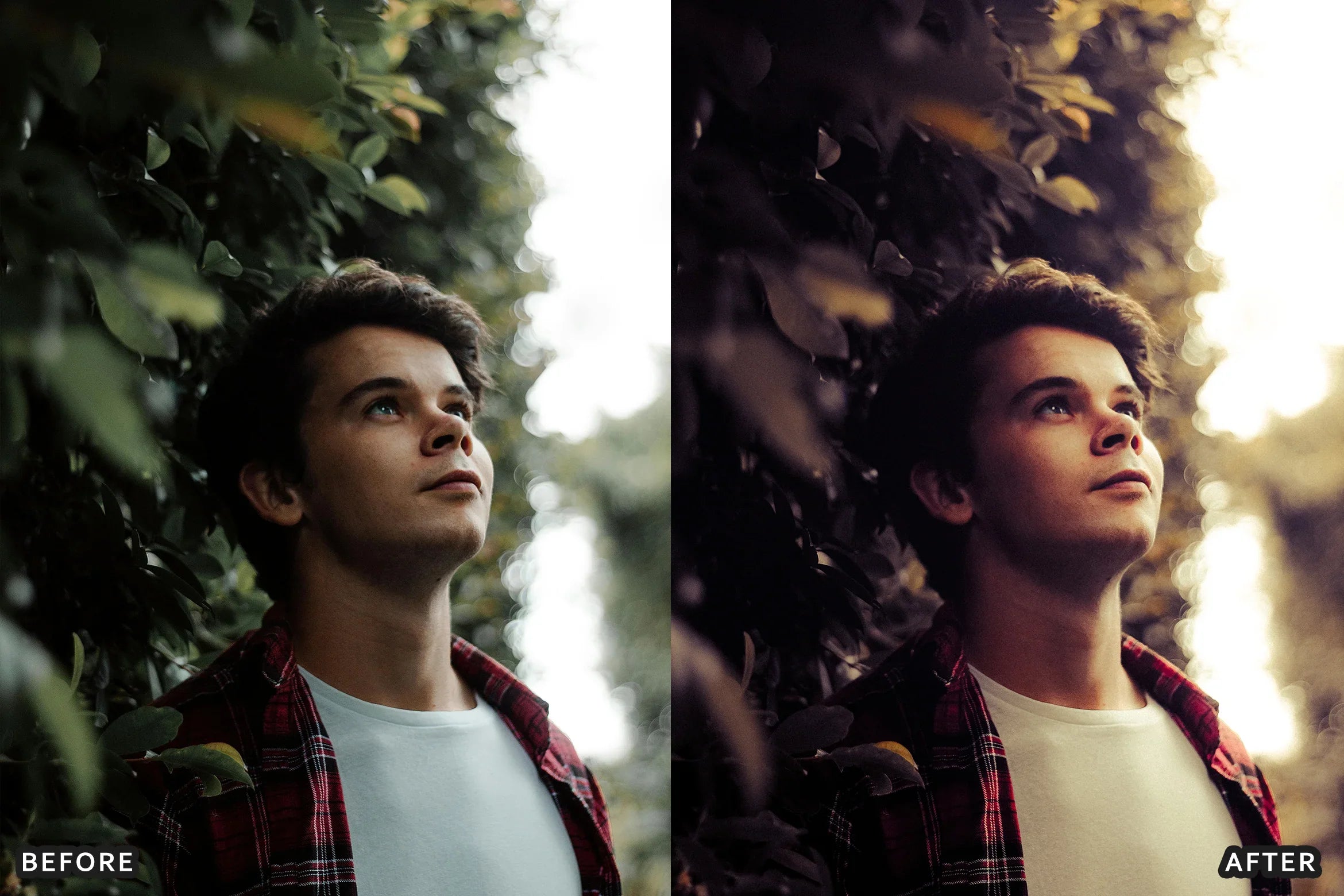 AI-Optimized Warm Velvet Lightroom Presets - Lightroom Presets - by AAA Presets