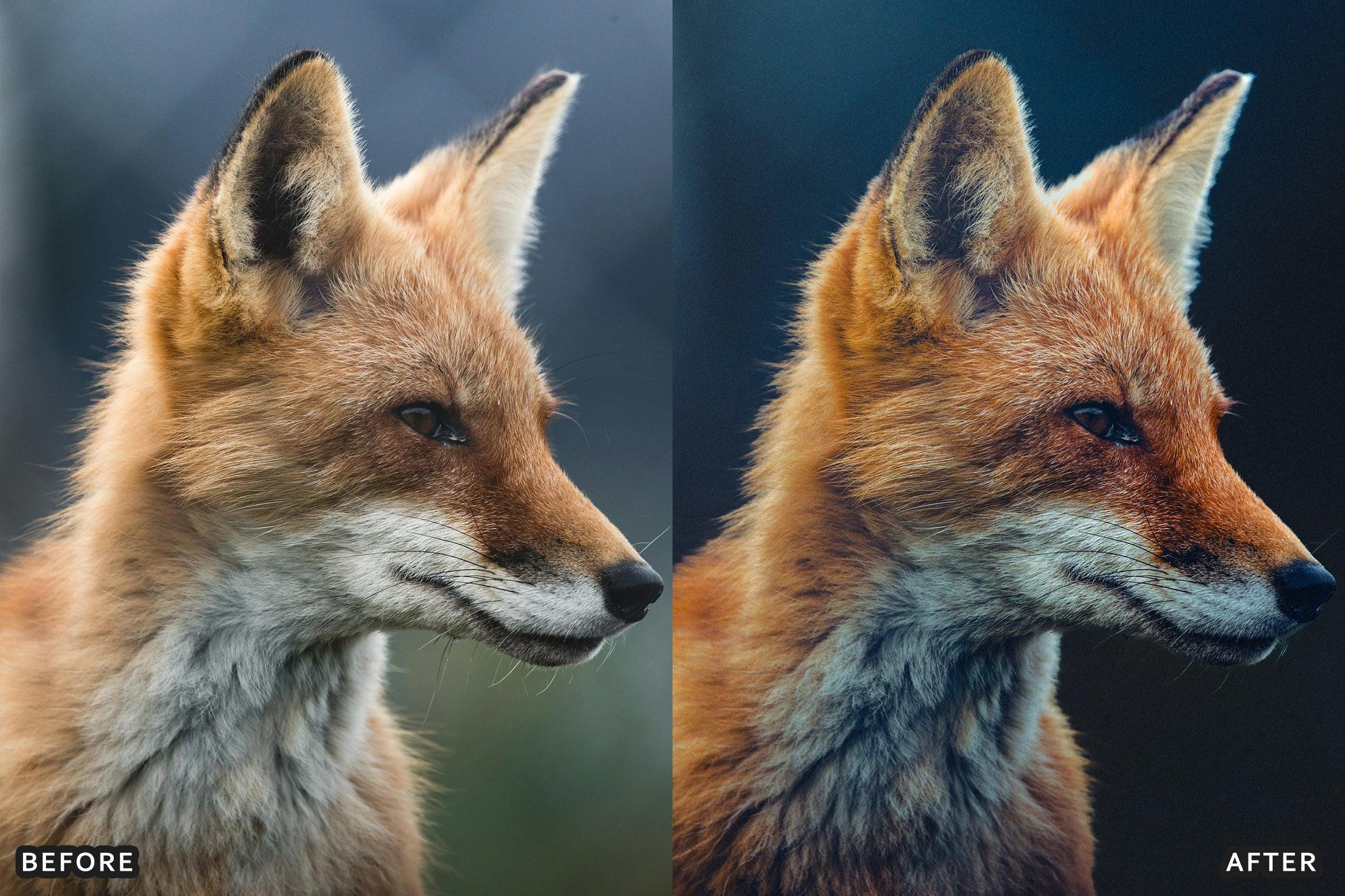 AI-Optimized Wild Life Lightroom Presets - Lightroom Presets - by AAA Presets