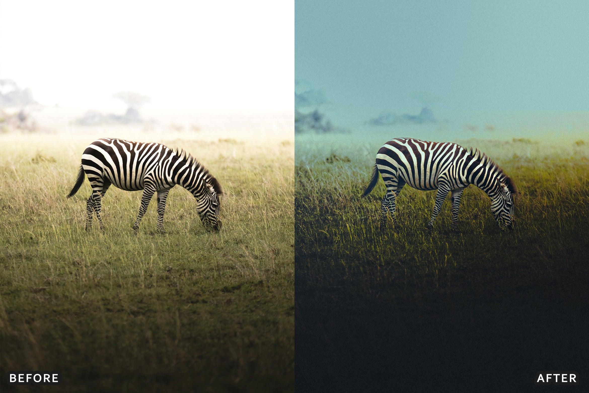 AI-Optimized Wild Life Lightroom Presets - Lightroom Presets - by AAA Presets