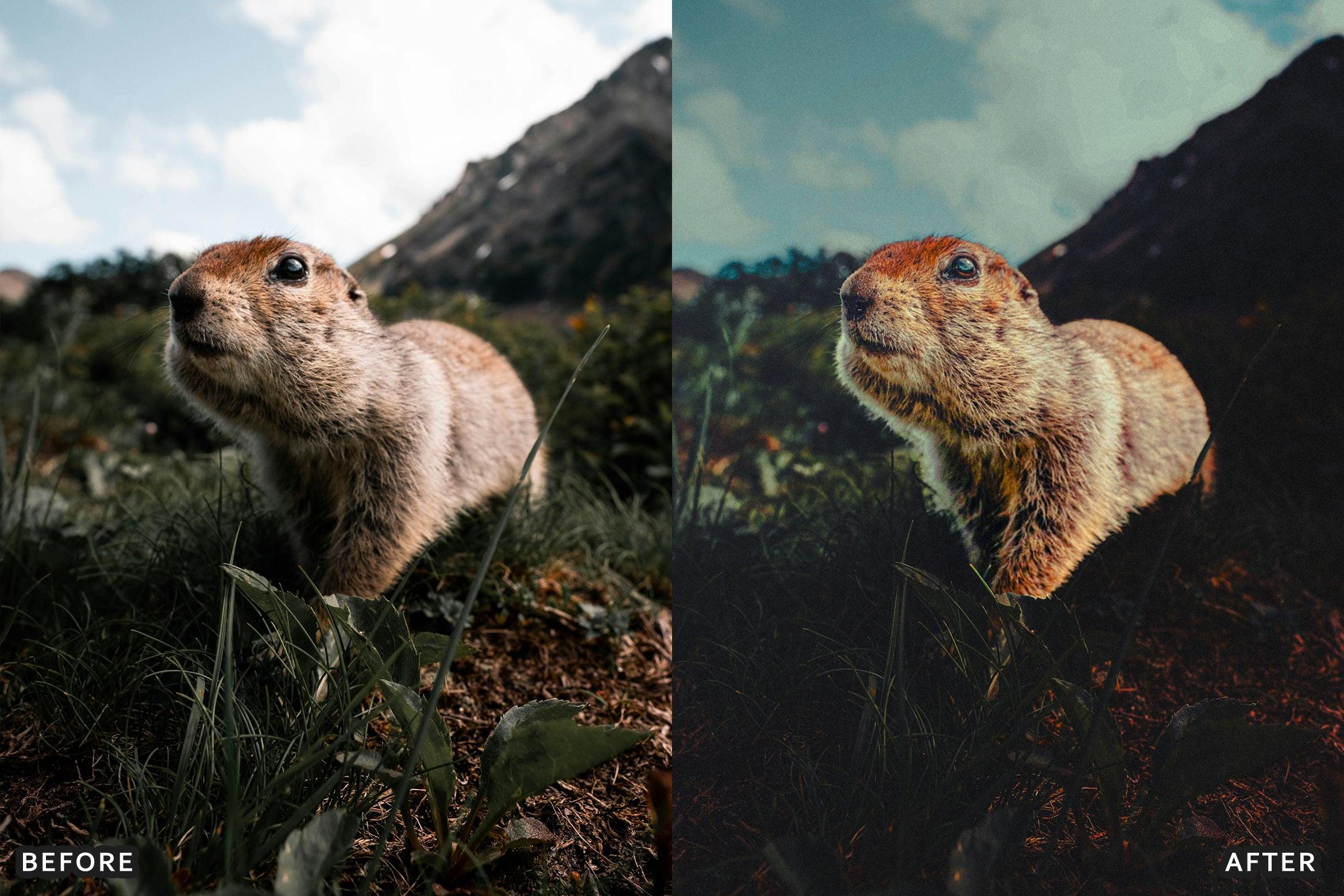 AI-Optimized Wild Life Lightroom Presets - Lightroom Presets - by AAA Presets