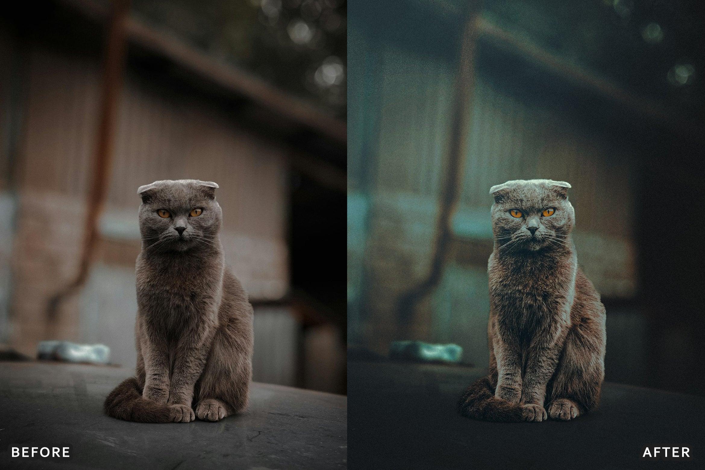 AI-Optimized Wild Life Lightroom Presets - Lightroom Presets - by AAA Presets