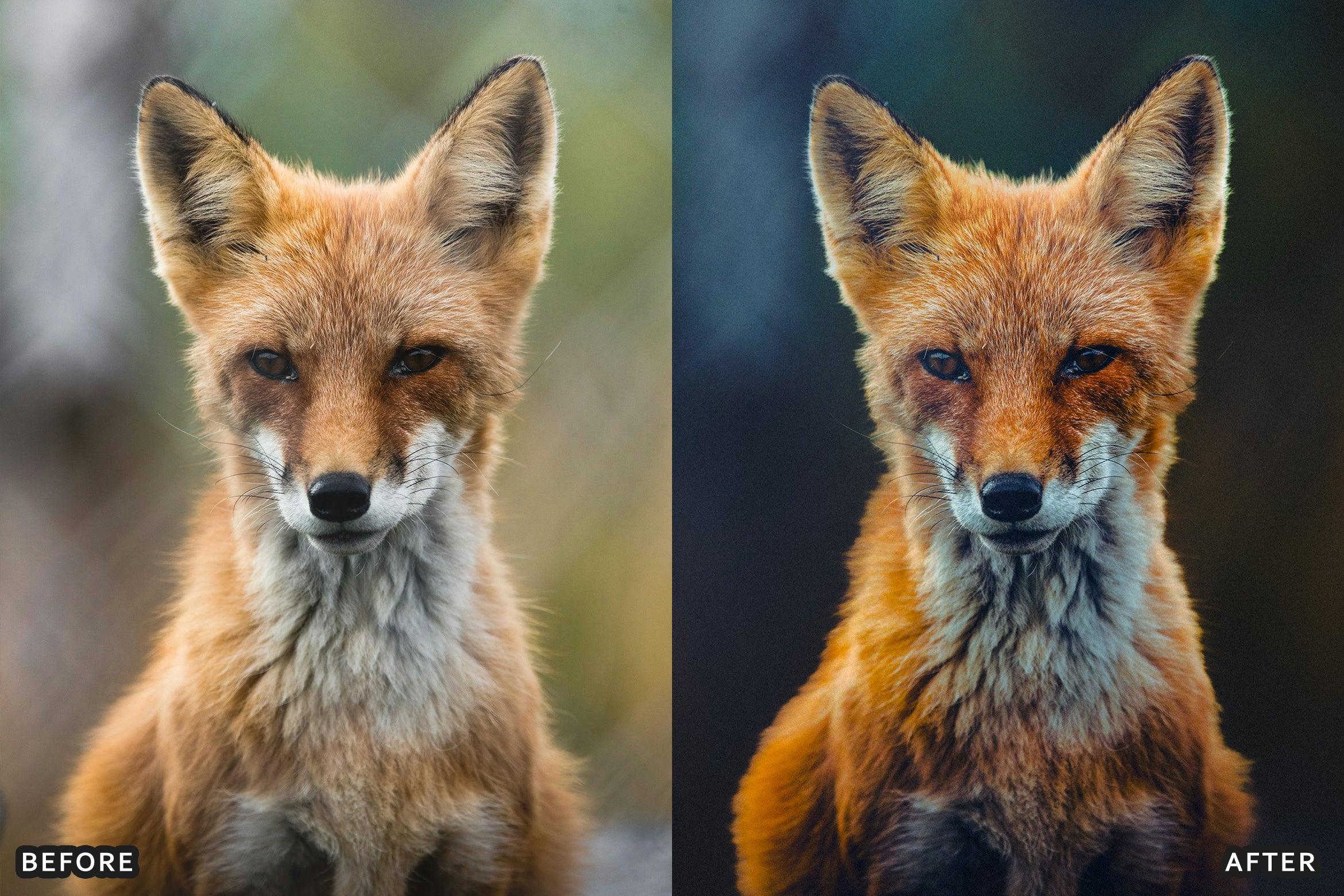 AI-Optimized Wild Life Lightroom Presets - Lightroom Presets - by AAA Presets