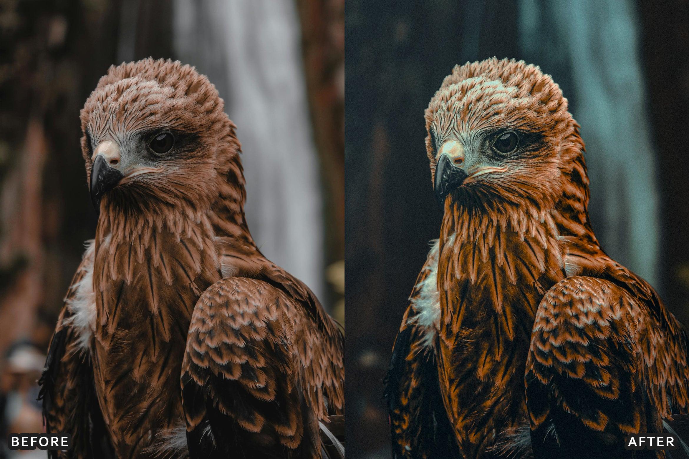 AI-Optimized Wild Life Lightroom Presets - Lightroom Presets - by AAA Presets