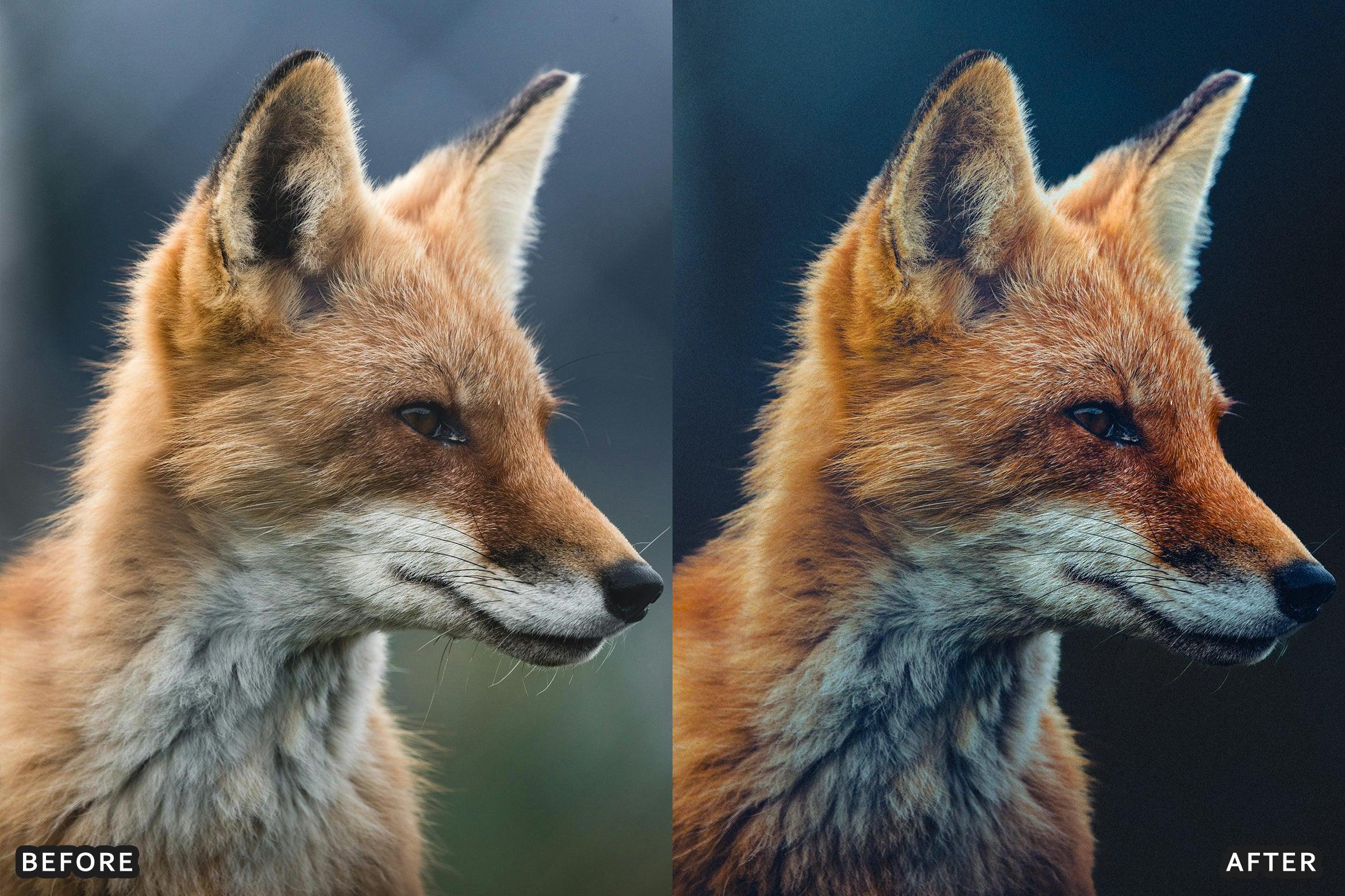 AI-Optimized Wild Life Lightroom Presets - Lightroom Presets - by AAA Presets