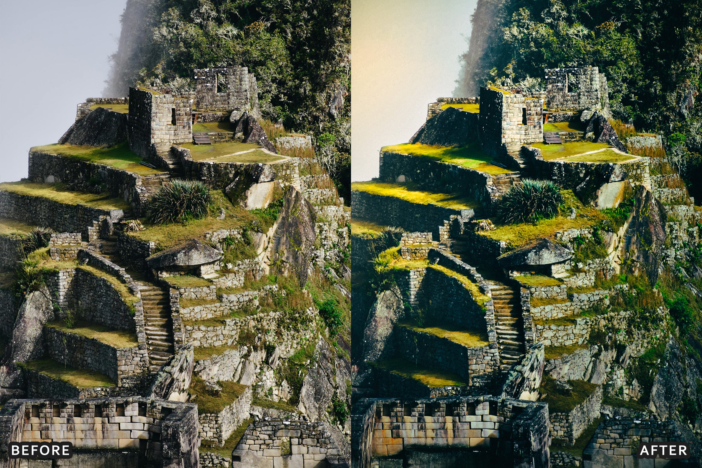 AI-Optimized Bloom Garden Lightroom Presets