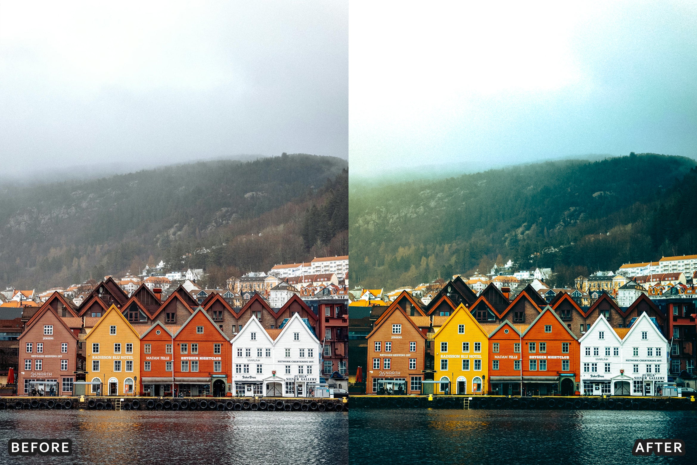 AI-Optimized Bloom Garden Lightroom Presets