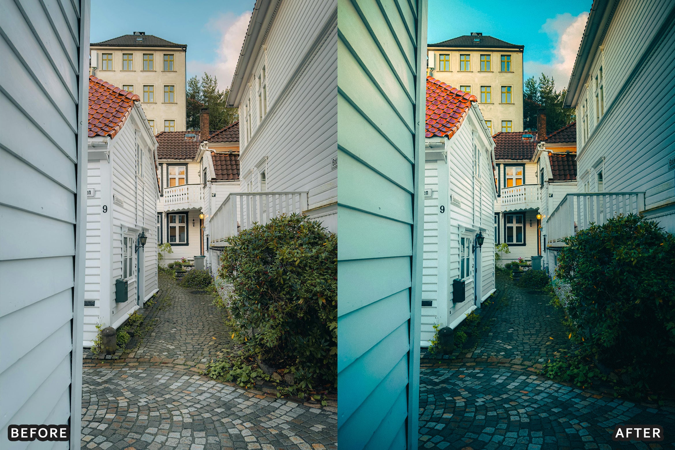 AI-Optimized Bloom Garden Lightroom Presets
