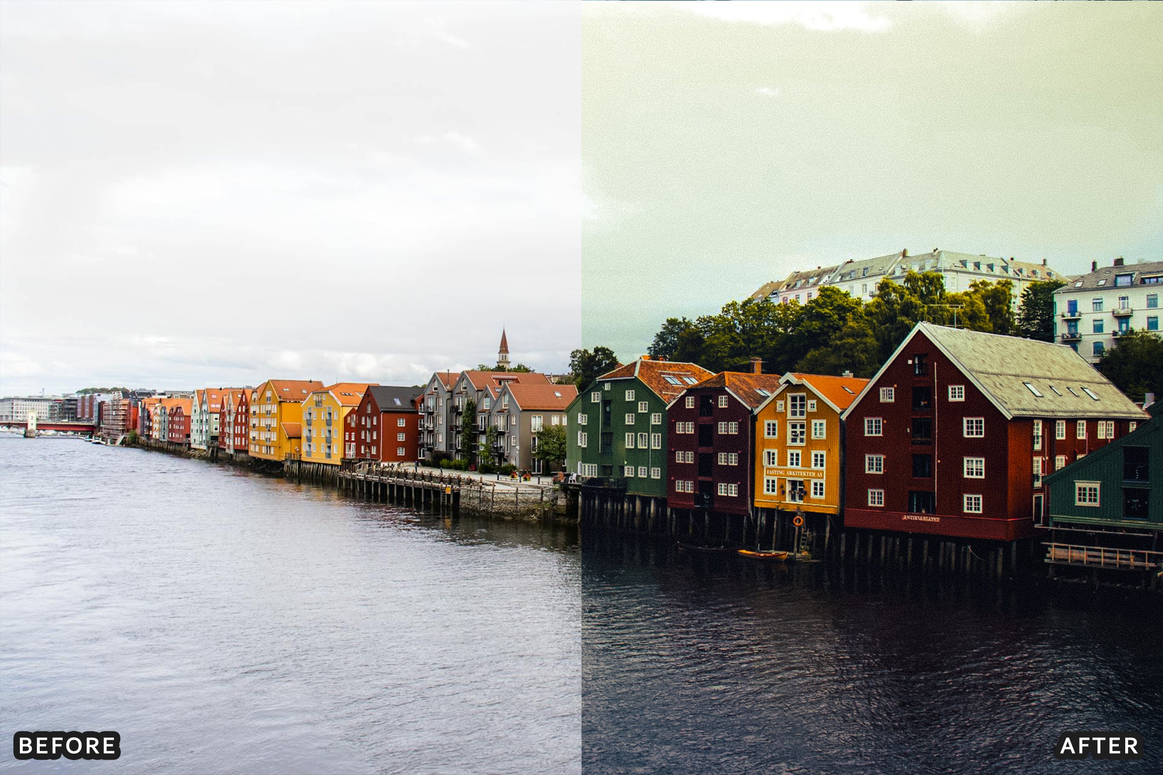 AI-Optimized Bloom Garden Lightroom Presets