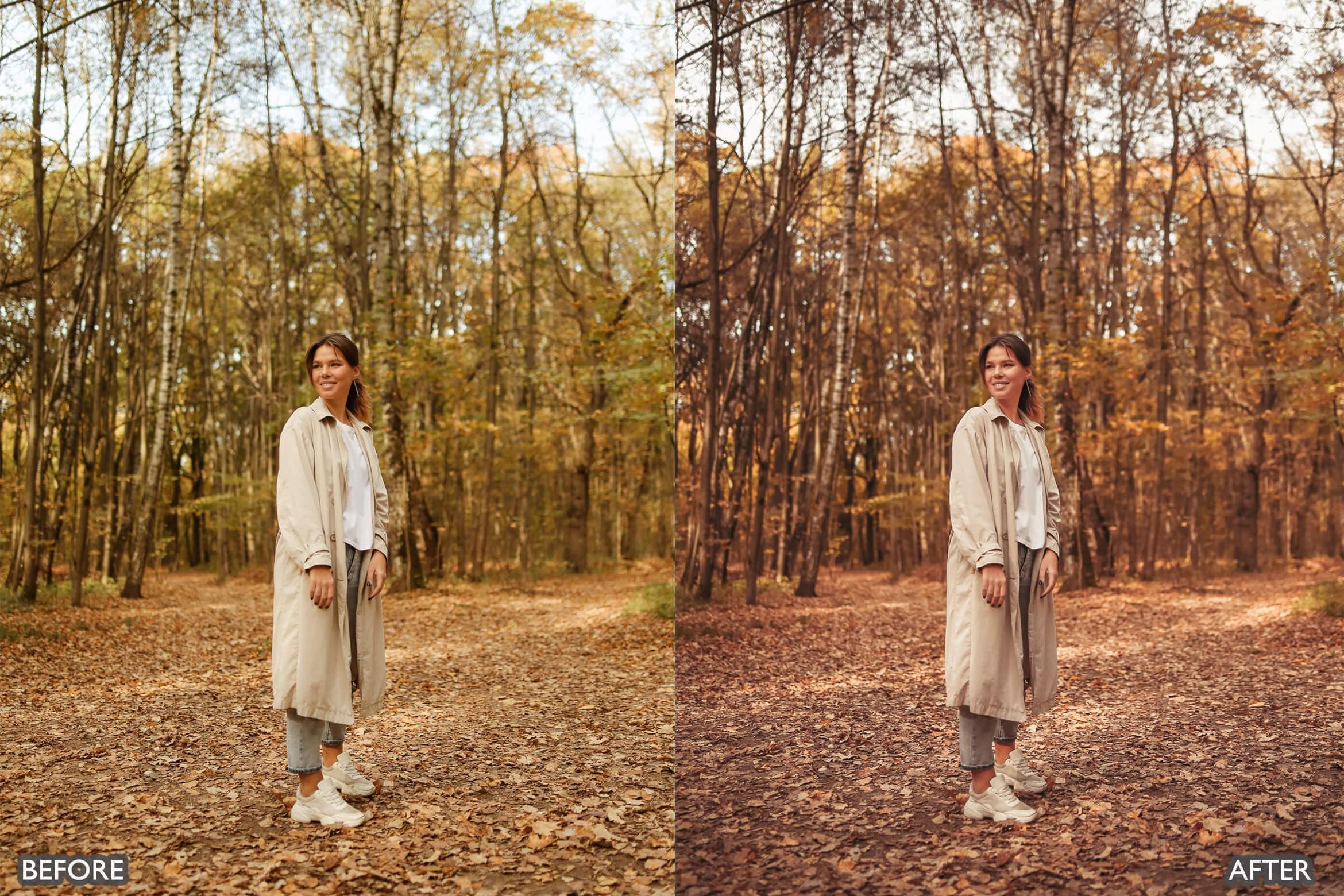 Autumn Fall Tones Lightroom Presets - Lightroom Presets - by AAA Presets