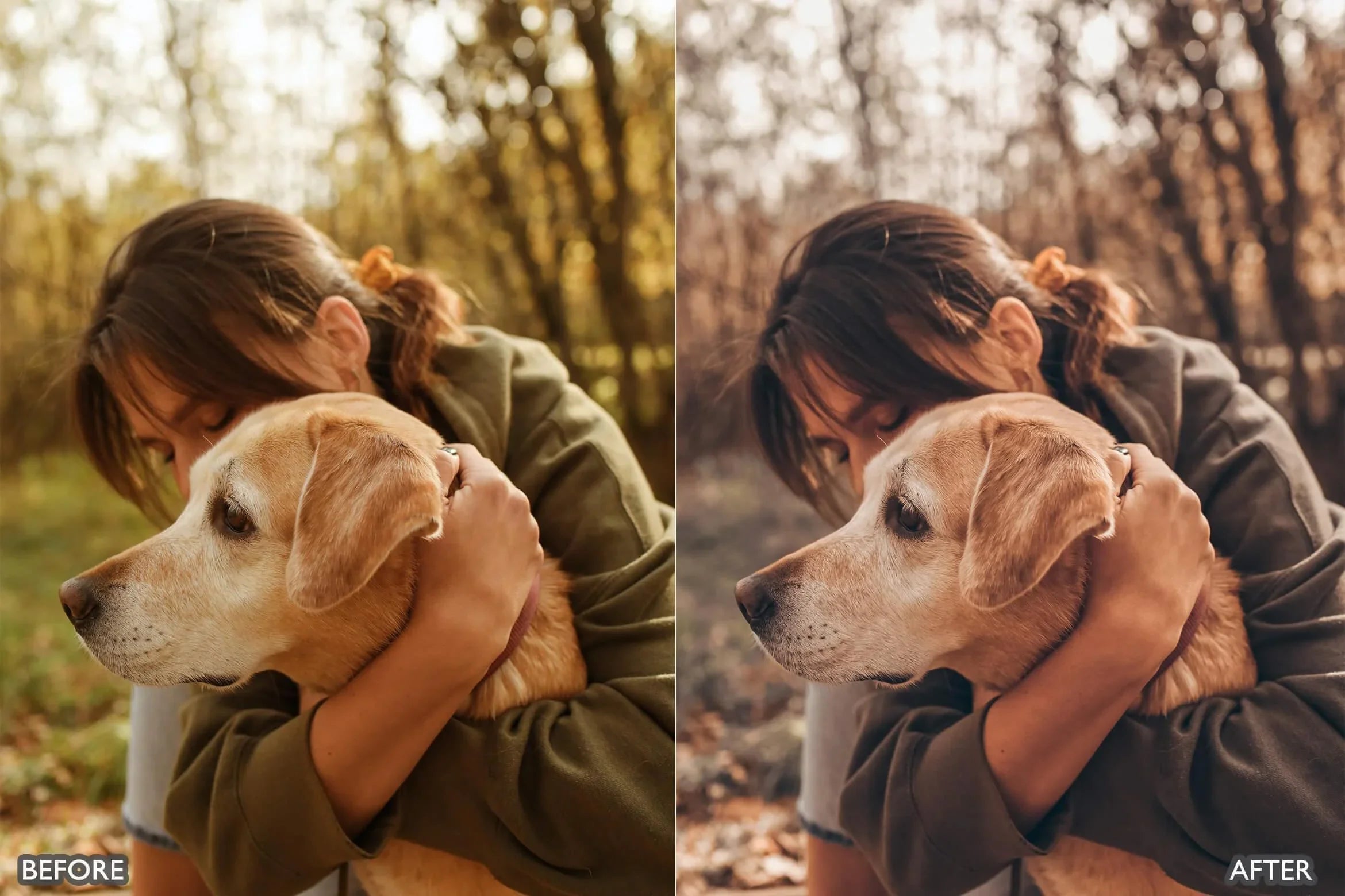 Autumn Fall Tones Lightroom Presets - Lightroom Presets - by AAA Presets