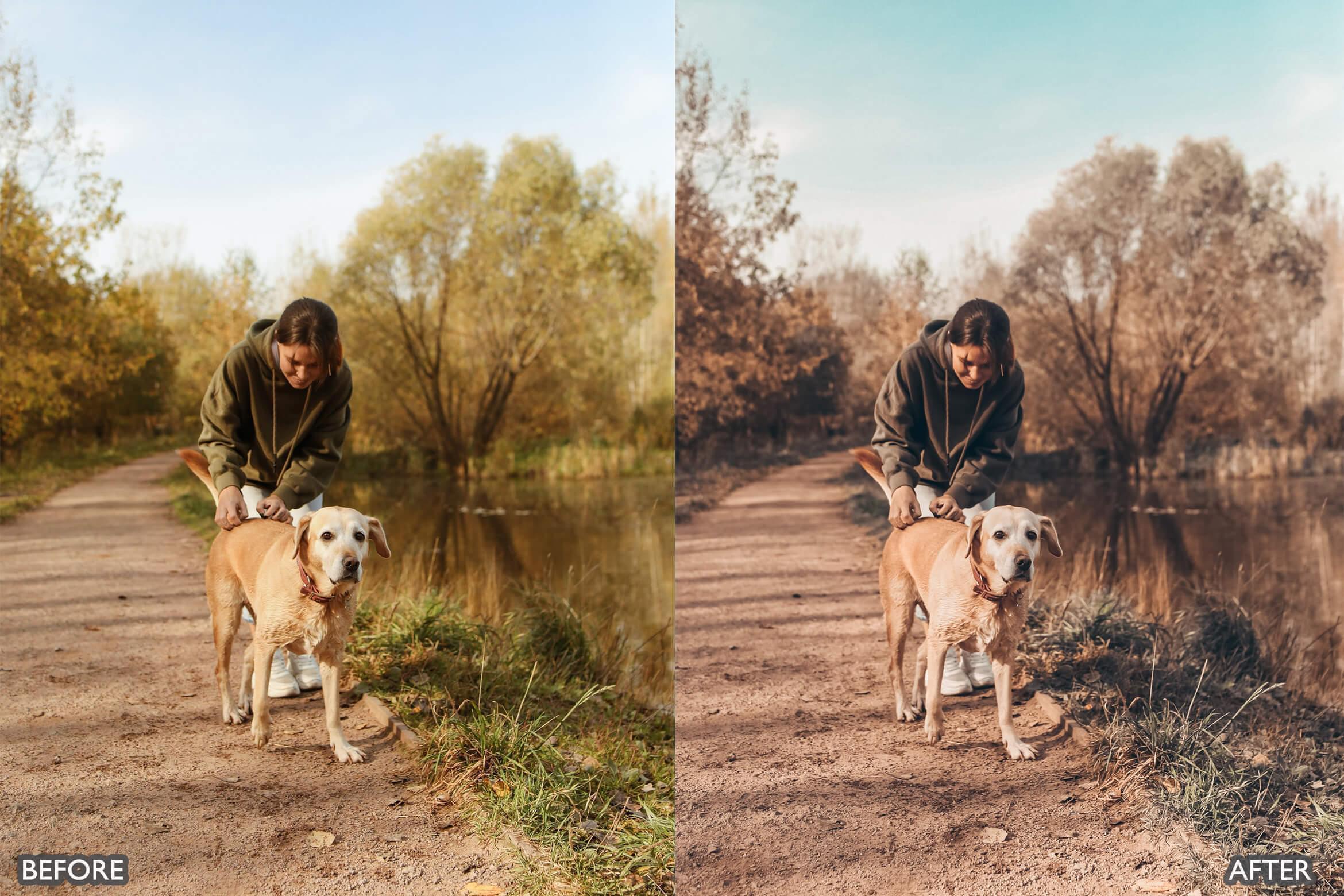 Autumn Fall Tones Lightroom Presets - Lightroom Presets - by AAA Presets