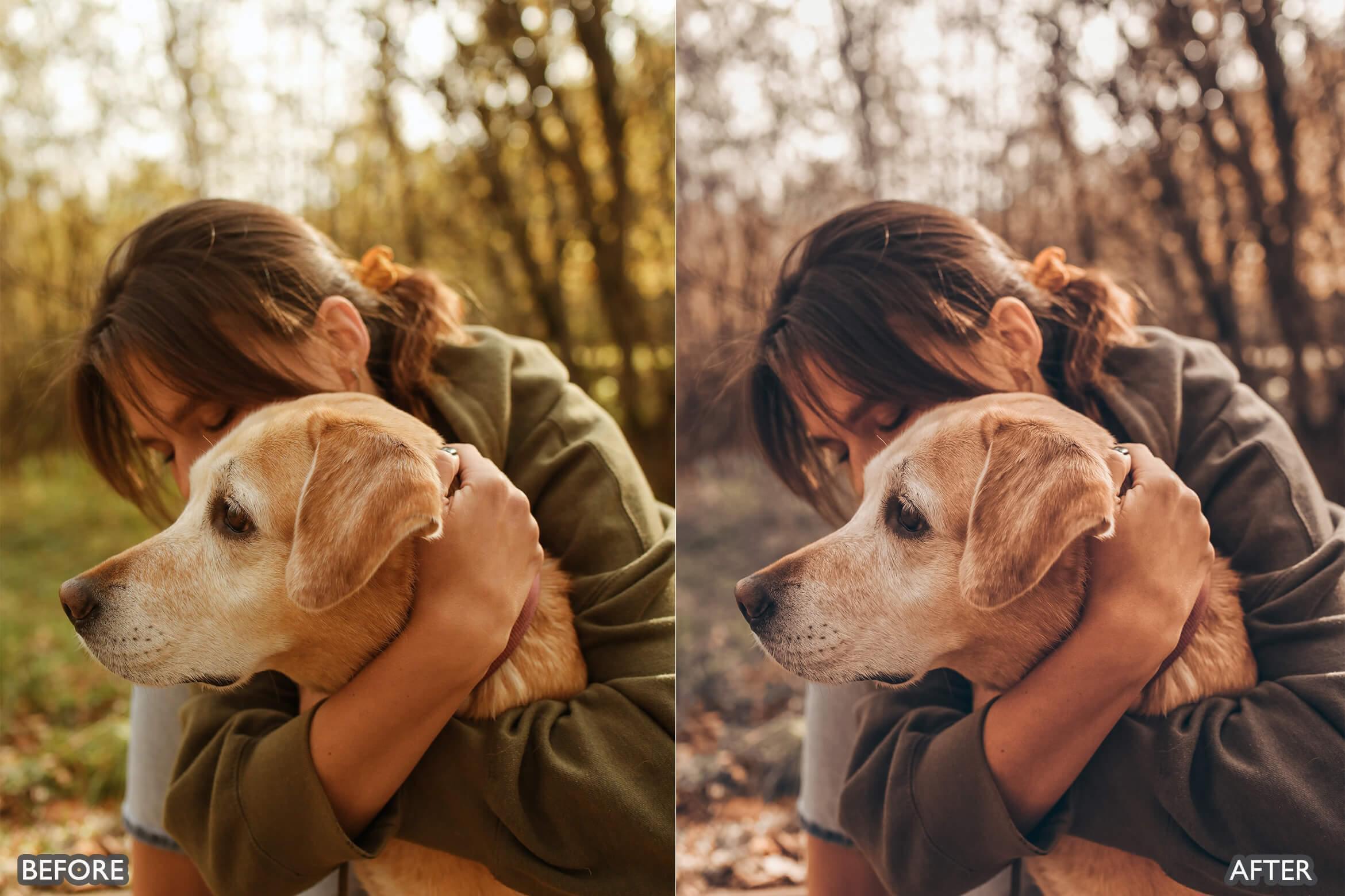 Autumn Fall Tones Lightroom Presets - Lightroom Presets - by AAA Presets