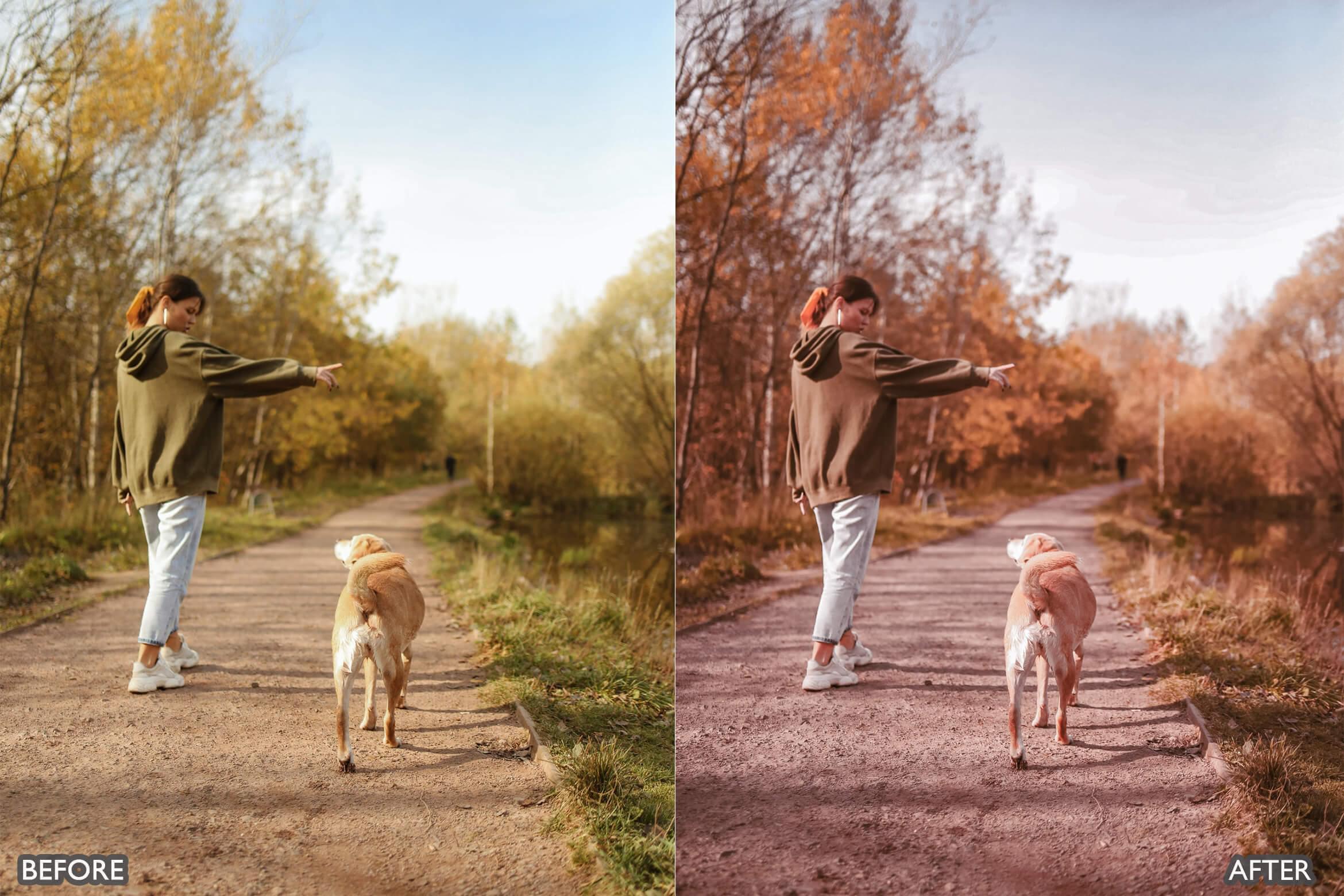 Autumn Fall Tones Lightroom Presets - Lightroom Presets - by AAA Presets